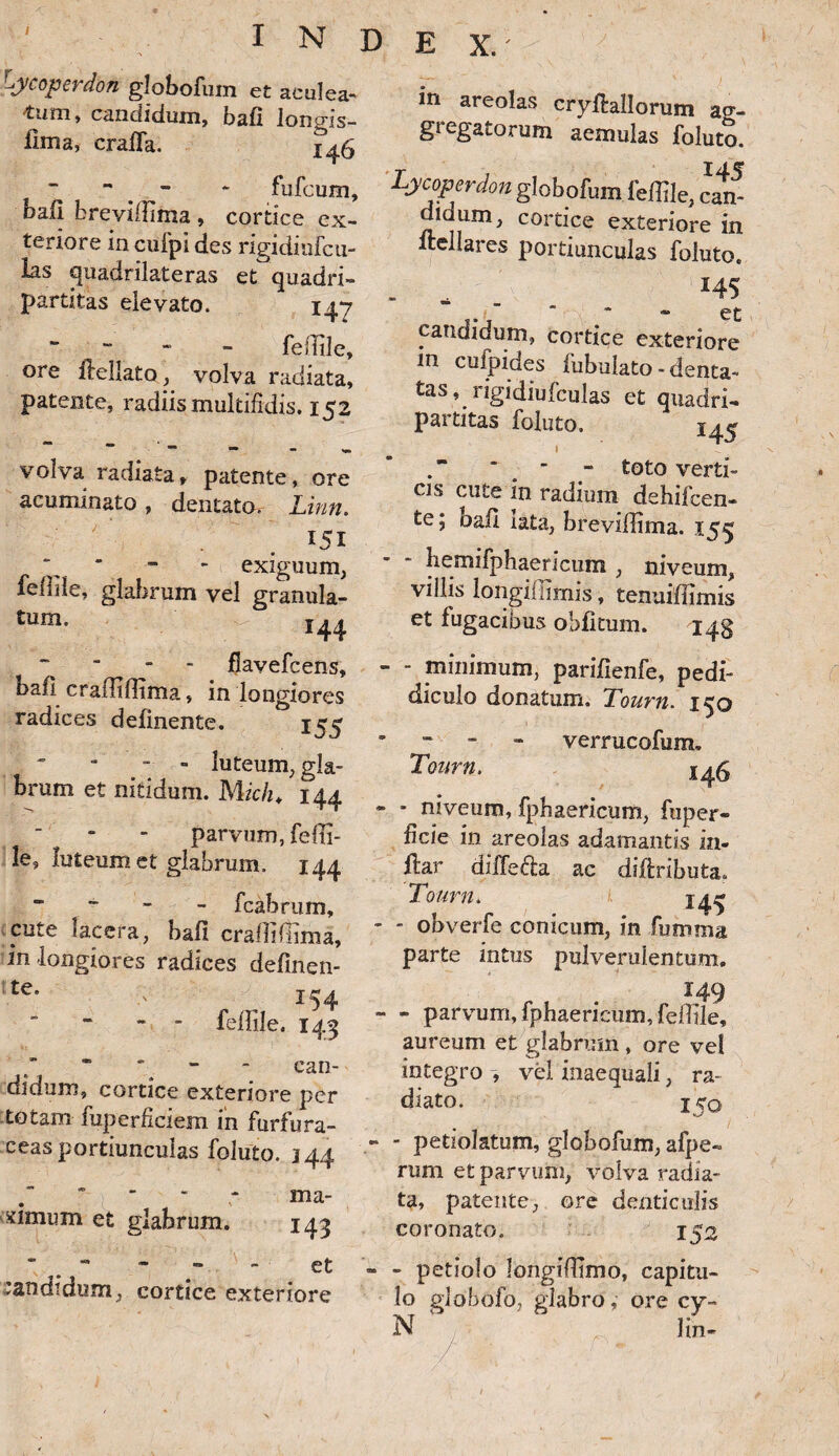 Lycoperdon globofum et aculea- 'tum , candidum, bafi longis- ilma, crafla. “ > - * fufcum, bafi breviflima , cortice ex¬ teriore in cufpi des rigidiufcu- las quadrilateras et quadri¬ partitas elevato. 147 “ feflile, ore flellato, volva radiata, patente, radiis multifidis. 152 volva radiata, patente, ore acuminato, dentato, Linn. ' . 151  - - exiguum, feflile, glabrum vel granula- tum. I44 “ flavefcens, bafi crafliflima» in longiores radices delinente. - - luteum, gla¬ brum et nitidum. Mich, 144 parvum, feffi- les luteum et glabrum, 144 ~ fcabrum, cute lacera, bali crafliflima, in longiores radices defmen- < tc* t r* a I54 - - felTile. 143 - - - can¬ didum, cortice exteriore per totam fuperfieiem in furfura- ceas portiunculas foluto. 144 - ma¬ ximum et glabrum. 143  “ - * - et landidum, cortice exteriore in areolas cryffcallorum ag¬ gregatorum aemulas foluto. Lycoperdon globofum feflile, cam dldum, cortice exteriore in itellares portiunculas foluto. - - . . *45 * et candidum, cortice exteriore m cufpides fubulato - denta- tas, rigidiufculas et quadri¬ partitas foluto, !45 1 ^ ■ - toto verti¬ cis cute in radium dehifcen- te; bafi iata, breviffima. 153 - - bemifphaericum , niveum, villis longiflimis, tenuiffimis et fugacibus obfitum. 143 - - minimum, parilienfe, pedi- diculo donatum. Tourn. 150 “ - - verrucofum, Tourn, - niveum, fpbaericum, fuper- ficie in areolas adamantis in- ftar diffe&a ac diftributa» Tourn. 14^ - obverfe conicum, in fumma parte intus pulverulentum. 149 - parvum, fpbaericum, feflile, aureum et glabrum , ore ve! integro , vel inaequali, ra¬ diato , J 7Q - pedolatum, globofum, afpe- rum et parvum, volva radia¬ ta, patente, ore denticulis coronato, 152 - petiolo longiflimo, capitu¬ lo globofo, glabro, ore cy- N lin-