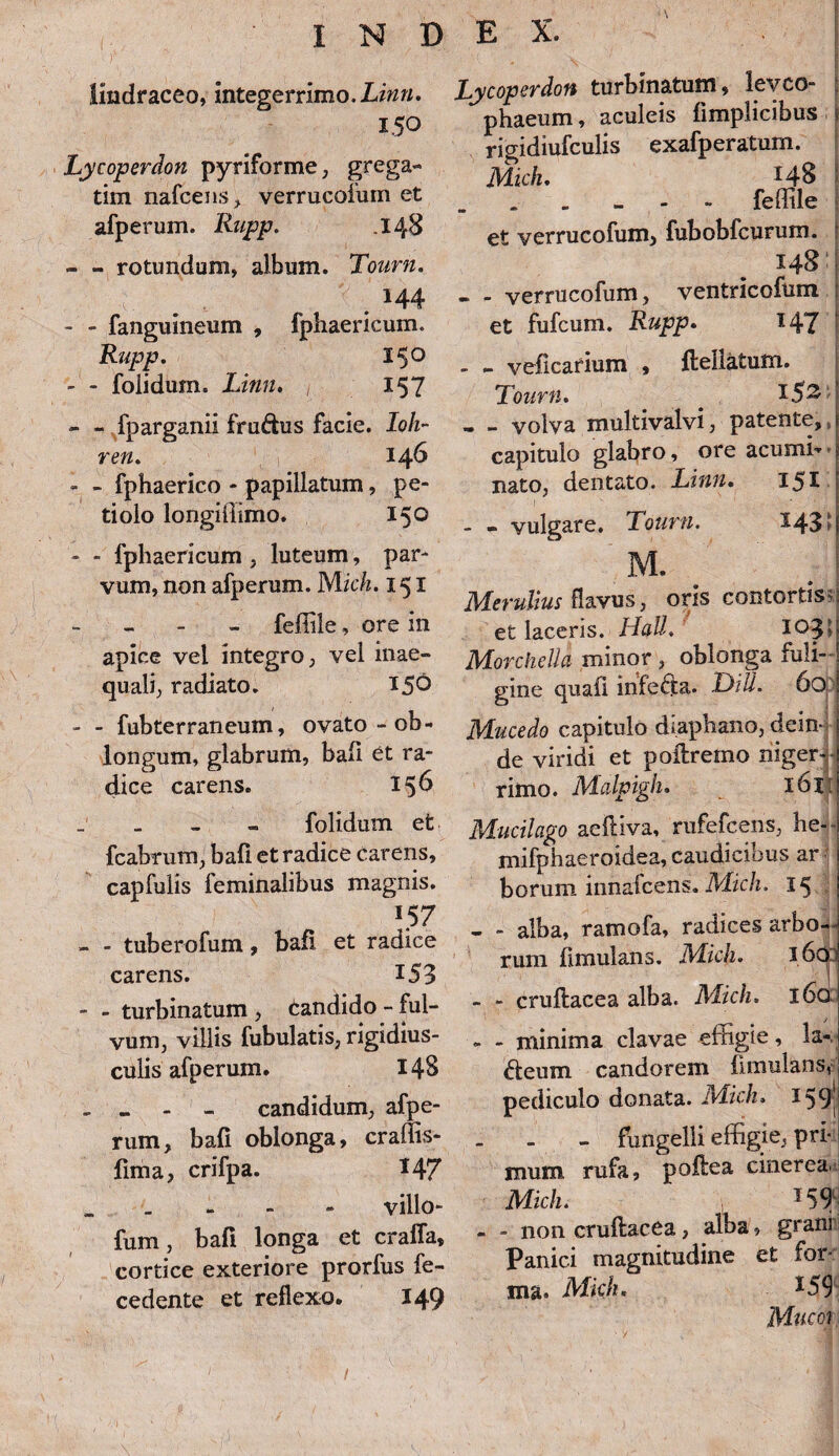 Imdraceo, integerrimo. Linn, 150 Lycoperdon pyriforme, grega- tim nafcens, verrucofum et afperum. Rupp. .148 - - rotundum, album. Tourn. '; ' . , v H 144 - - fanguineum , fphaericum. Rupp. 15° - - folidum. Linn. 157 - - fparganii fruftus facie. Ioh- ren. 146 - - fphaerico - papillatum, pe¬ tiolo longiffimo. 150 - - fphaericum , luteum, par¬ vum, non afperum. Midi. 151 - feffile, ore in apice vel integro, vel inae¬ quali, radiato. 150 - - fubterraneum, ovato - ob¬ longum, glabrum, baii et ra¬ dice carens. 156 folidum et fcabrum, bafi et radice carens, capfulis feminalibus magnis. *57 - - tuberofum, bafi et radice carens. 153 - - turbinatum , candido - ful¬ vum, villis fubulatis, rigidius- culis afperum. 148 - - - - candidum, afpe¬ rum, bafi oblonga, craffis- fima, crifpa. 147 „ villo- fum, bafi longa et craffa, cortice exteriore prorfus fe- cedente et reflexo. 149 Lycoperdon turbinatum, leyco- phaeum, aculeis fimplicibus j rigidiufculis exafperatum. Midi. *4§ - feffile et verrucofum, fubobfcurum. 148 :j - - verrucofum, ventricofum et fufcum. Rupp. 147 ! - - veficarium , ftellatum. Tourn. - - volva multivalvi, patente, , capitulo glabro, ore acumi¬ nato, dentato. Linn. 151 - - vulgare. Tourn. -'43‘ M. . : Merultus flavus, oris contortis*) et laceris. Hali. 105;» Morchelld minor , oblonga fuli- l gine quali mfefta. T)iU. 6oj) Mucedo capitulo diaphano, dein¬ de viridi et poftremo niger¬ rimo. Malpigh. ^ 161 Mudlago aeftiva, rufefcens, he-- mifphaeroidea, caudicibus ar borum innafcens. Midi. 15 - - alba, ramofa, radices arbo¬ rum fimulans. Midi. l6o> j - - cruftacea alba. Midi. 160 - - minima clavae effigie, la-. fteum candorem fimulans, pediculo donata. Midi, 159’ - fungelli effigie, pri¬ mum rufa, poftea cinerea. Midi. 159 - - non cruftacea, alba, grani Panici magnitudine et for¬ ma. Midi. *59 Mucot