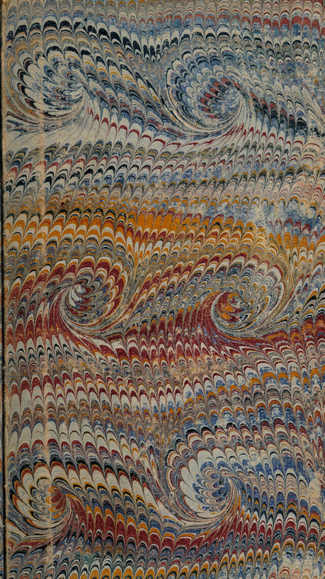 No text description is available for this image