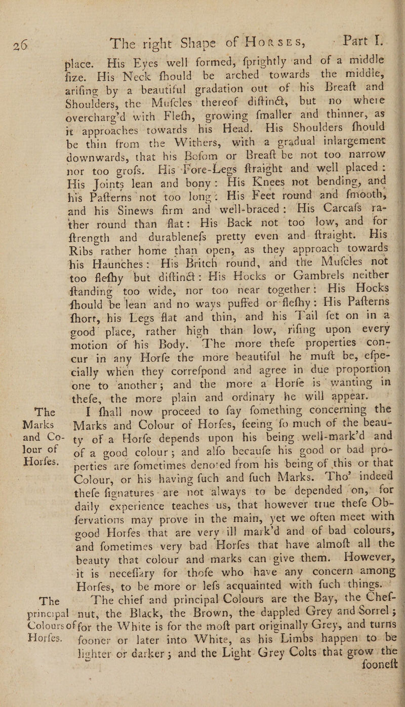 >\ The Marks and Co- Jour of — Horfes. The Hortes. The right Shape of Horses, © Part L fize. His Neck fhould be arched towards the middle, arifing by a beautiful gradation out of his Breaft and Shoulders, the Mufcles thereof diftiné, but no where overcharg’d with Fleth, growing {maller and thinner, as it approaches towards his Head. His Shoulders fhould be thin from the Withers, with a eradual inlargement nor too grofs. His Fore-Legs ftraight and well placed : His Joints lean and bony: His Knees not bending, and his Pafterns not too long: His Feet round and fmooth, and his Sinews firm and well-braced: His Carcafs ra- ther round than flat: His Back not too low, and for too flefhy but diftin&: His Hocks or Gambrels neither ftanding too wide, nor too near together: His Hocks good place, rather high than low, rifing upon every motion of his Body. The more thefe properties con- cur in any Horfe the more beautiful he muft be, efpe- cially when they correfpond and agree in due proportion one to another; and the more a Horfe is wanting in I fhall now proceed to fay fomething concerning the ty of a Horfe depends upon his being. well-mark’d and perties are fometimes denoted from his being of this or that thefe fignatures- are not ‘always to be depended on, for Horfes, to be more or lefs acquainted with fuch things. lighter of darker ; and the Light. Grey Colts that crow the | foonett . 4 8 7 A