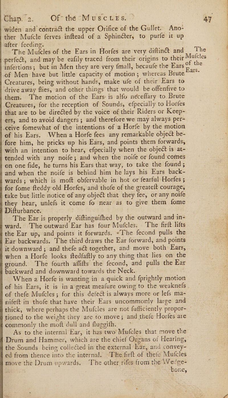 widen and contra& the upper Orifice of the Gullet.. Ano- ther Mufcle ferves inftead of a Sphinéter, to purfe it up | after feeding. | The Mufcles of the Ears in Horfes are very diftin& and The perfect, and may be eafily traced from their origins to their Mutcles infertions; but in Men they are very fmall, becaufe the Ears of the .of Men have but little capacity of motion; whereas Brute Creatures, being without hands, make ufe of their Ears to drive away flies, and other things that would be offenfive to them. ‘The motion of the Ears: is alfu néceflary to Brute Creatures, for the reception of Sounds, efpecially to Horfes that are to be directed by the voice of their Riders or Keep- ers, and to avoid dangers ; and therefore we may always per- ceive fomewhat of the intentions of a Horfe by the motion of his Ears. When a Horfe fees any remarkable object be- fore him, he pricks up his Ears, and points them forwards, | with an intention to hear, efpecially when the object is at- ) tended with any noife; and when the noife or found comes ton one fide, he turns his Ears that way, to take the found; } and when the noife is behind him he lays his Ears back- § wards; which is moft obfervable in hot or fearful Horfes; - i for fome fteddy old Horfes, and thofe of the greateit courage, ) take but little notice of any obje&t that they fee, or any noife they hear, unlefs it come fo near as to give them fome ft Difturbance. | ae | The Ear is properly diftinguifhed by the outward and in- )ward. The outward Ear has four Mufcles. The firft lifts ithe Ear up, and points it forwards. «The fecond pulls the ) Ear backwards. The third draws the Ear forward, and points | it downward ; and thefe act together, and move both Ears, ) when a Horfe looks ftedfaftly to any thing that lies on the } ground. The fourth affifts the fecond, and pulls the Ear i backward and downward towards the Neck. ; | When a2 Horfe is wanting in a quick and fprightly motion fof his Ears, it is in a great meafure owing to the weaknefs lof thefe Mufcles; for this defect is always more or lefs ma- } nifeft in thofe that have their Ears uncommonly large and i thick, where perhaps the Mufcles are not fufficiently propor- - } tioned to the weight they are to move; and thefe Horfes are f commonly the moft dull and fluggifh. —* | As to the internal Ear, it has two’ Mufcles that move the { Drum and Hammer, which are the chief Organs of Hearing, I the Sounds being collected in the external Kar, and convey- led from thence into the internal. ~The firft of thete Mufcles | move the Drum upwards, The other rifes from the Wedge- | tone, ae i eae ee) ee,