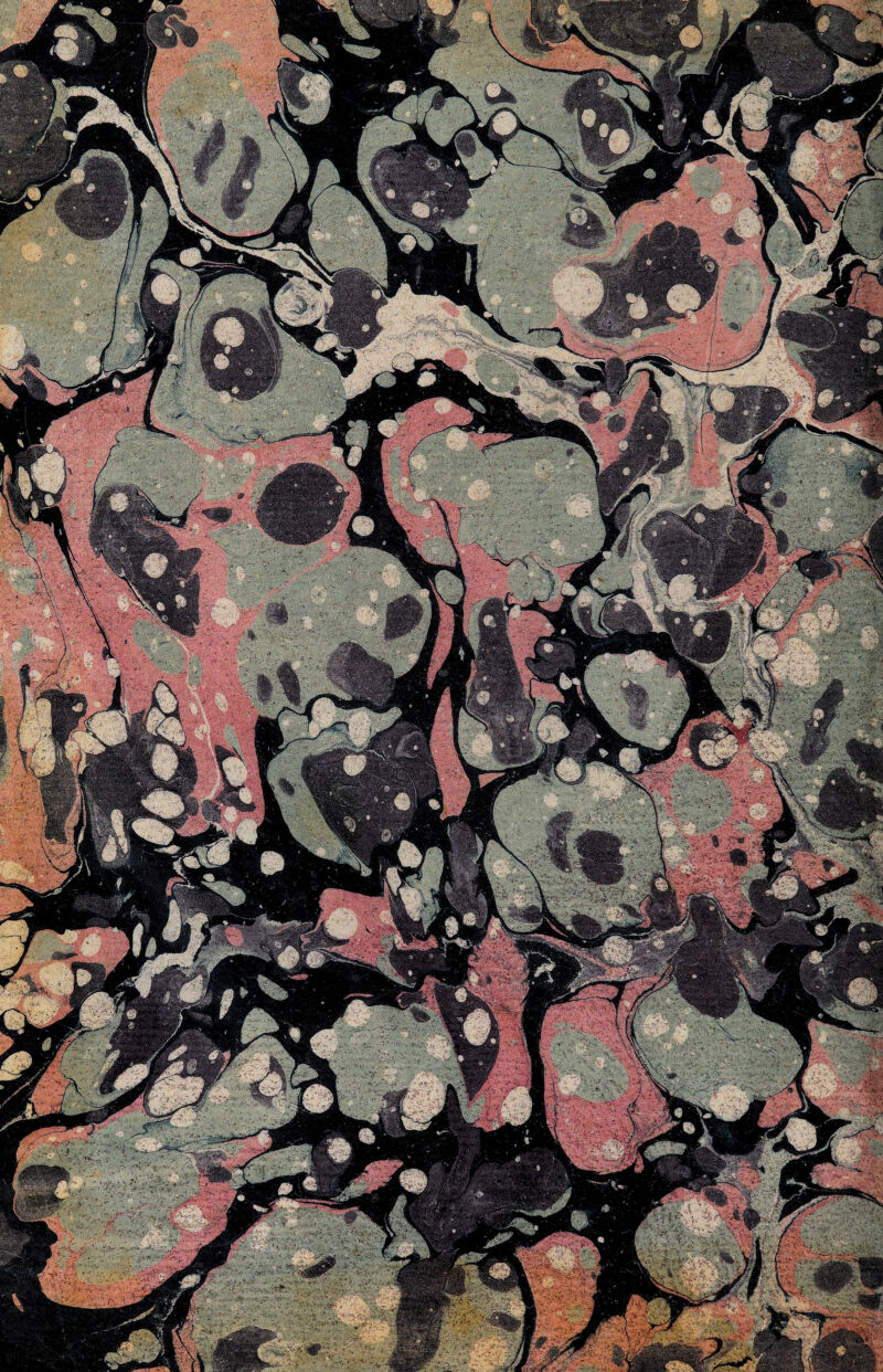 W '-'Vi W \ f 1 ■■■■} M v y- v*‘:iiS lv