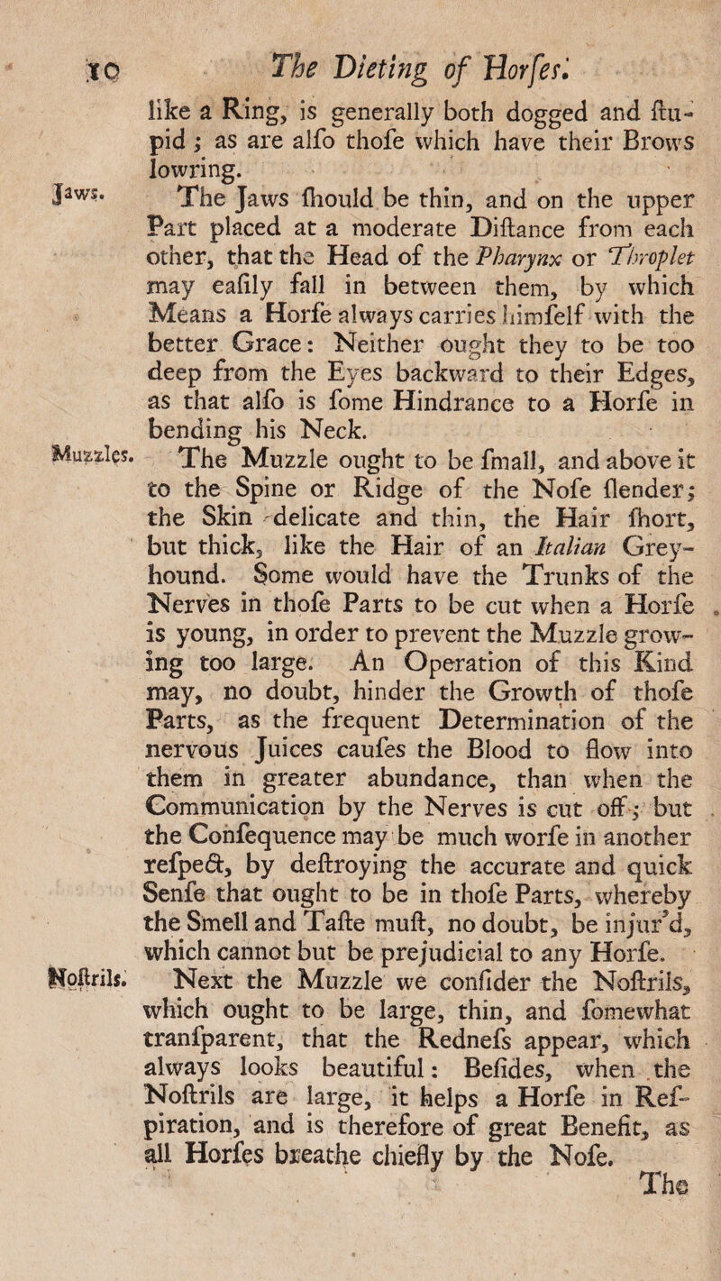 like a Ring, is generally both dogged and (ra¬ pid ; as are alfo thofe which have their Brows lowring. Jaws. The Jaws fhould be thin, and on the upper Part placed at a moderate Diftance from each other, that the Head of the Pharynx or T^hroflet may eafily fall in between them, by which Means a Horfe always carries himfelf with the better Grace: Neither ought they to be too deep from the Eyes backward to their Edges, as that alfo is fome Hindrance to a Horfe in bending his Neck. Muscles. The Muzzle ought to be fmall, and above it to the Spine or Ridge of the Nofe (lender i the Skin delicate and thin, the Hair fhort, but thick, like the Hair of an Italian Grey¬ hound. Some would have the Trunks of the Nerves in thofe Parts to be cut when a Horfe is young, in order to prevent the Muzzle grow¬ ing too large. An Operation of this Rind may, no doubt, hinder the Growth of thofe Parts, as the frequent Determination of the nervous Juices caufes the Blood to flow into them in greater abundance, than when the Communication by the Nerves is cut off* but the Confequence may be much worfe in another refped, by deftroying the accurate and quick Senfe that ought to be in thofe Parts, whereby the Smell and Tafte muft, no doubt, be injur5d, which cannot but be prejudicial to any Horfe. Npftnls. Next the Muzzle we confider the Noftrils, which ought to be large, thin, and fomewhat tranfparent, that the Rednefs appear, which always looks beautiful: Befides, when the Noftrils are large, it helps a Horfe in Ref- piration, and is therefore of great Benefit, as all Horfes breathe chiefly by the Nofe.