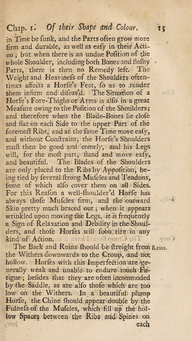 © in Time be funk, and the Parts often grow more firm and durable, as well as eafy in their Adi- on ; but when there is an undue Pofition of the whole Shoulder, including both Bones and fiefhy Parts, there is then no Remedy left. The Weight and Heayinefs of the Shoulders often¬ times affects a HorfeVFeec, fo as to render them infirm and difieascL The Situation of a Horfe’s Fore-Thighs or Arms is alfo in a great Meafure owing to the Pofition of the Shoulders; and therefore when the Blade-Bones lie clofe and flat on each Side to the upper Part of the foremoft Ribs, and at the fame Time move eafy, and without Confiraint, the Horfe?s Shoulders muft then be good and comely, and his Legs will, for the moll part, fiand and move eafy, and beautiful. The Blades of the Shoulders are only placed to the Ribs by Appofition, be¬ ing tied by feveral firong Mufcles and Tendons, fome of which alfo cover them on all Sides. For this Reafon a well-fhouider’d Hoffe has always thofe Mufcles firm, and the outward Skin pretty much braced out; when it appears wrinkled upon moving the Legs, it is frequently a Sign of Relaxation and Debility in the Shouf- ders, and thofe Horfes Will foon tire in any kind'of Attion. • ’-'m l The Back and Reins fhould be freight from Reins, the Withers downwards to the Group, and not hollow. Horfes with this Imperfe&ion are ge¬ nerally weak and unable^ to endure* much Fa¬ tigue; befides that they are often incommoded by the Saddle, as are alfo thofe which are too low on the Withers. In a beautiful plump Horfe, the Chine fhould appear double by the Fulnefs of the Mufcles, which fill up the hol¬ low Spaces between the Ribs and Spines on