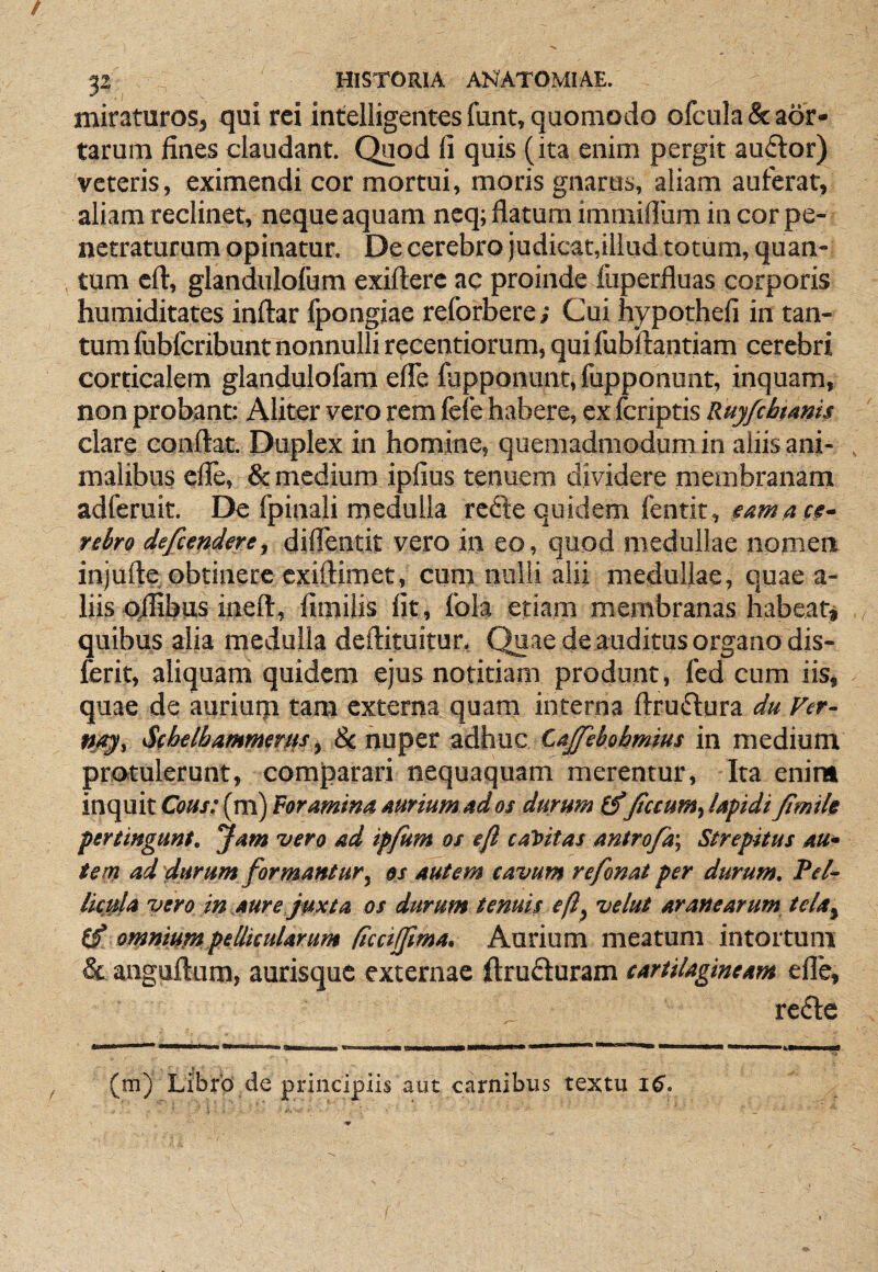 miraturos, qui rei intelligentes funt, quomodo ofcula & aor¬ tarum fines claudant. Quod fi quis (ita enim pergit audior) veteris, eximendi cor mortui, moris gnarus, aliam auferat, aliam reclinet, nequeaquam ncq; flatum immifium in cor pe¬ netraturum opinatur. De cerebro judicat,illud totum, quan¬ tum cfl, glandulofum exiftere ac proinde fuperfluas corporis humiditates inftar fpongiae reforbere; Cui hypothefi in tan¬ tum fubfcribunt nonnulli recentiorum, quifubflantiam cerebri corticalem glandulofam elTe fupponunt, fupponunt, inquam, non probant: Aliter vero rem fefe habere, ex fcriptis Ruy/chtams clare conflat. Duplex in homine, quemadmodum in aliis ani- . malibus efle, & medium ipfius tenuem dividere membranam adferuit. De fpinali medulla rcdle quidem fentit, rehro defiendere, diflcntit vero in eo, quod medullae nomen injufle obtinere cxiflimet, cum nulli alii medullae, quae a- liis o)fibus inefl, fimilis fit, fola etiam membranas habeatj quibus alia medulla deflituitur. Quae de auditus organo dis- lerit, aliquam quidem ejus notitiam produnt, fed cum iis, quae de aurium tam externa quam interna flrudlura du Ver- t/jg, SfM&a/ftmmts, 8c nuper adhuc Caffebobmius in medium protulerunt, comparari nequaquam merentur. Ita enim inquit Co«/;(m) Foramina aurium ad os durum (fficcumylapidi fimile pertingunt. Jam vero ad ipfum os efi caVitas antro/a-, Strepitus au* tem ad'durum formantur^ os autem cavum refonat per durum. PeU licula vero in aure,juxta os durum tenuis efi. velut aranearum tela^ omnium pellicularum ficcijfima. Aurium meatum intortum Sc anguflum, aurisque externae ftrudluram cartilagineam efle, redlc (m) Librb de principiis aut carnibus textu