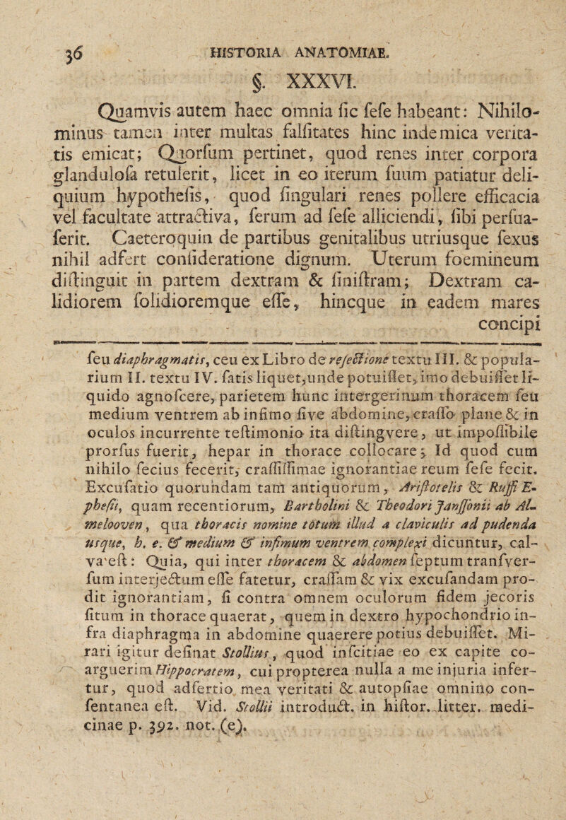 §. XXXVI. Quamvis autem haec omnia fic fefe habeant: Nihilo¬ minus tamen inter multas fallitates hinc inde mica verita¬ tis emicat; Q^orfum pertinet, quod renes inter corpora glandulofa retulerit, licet in eo iterum luam patiatur deli¬ quium hypothelis, quod lingulari renes pollere efficacia vel facultate attrafliva, ferum ad fefe alliciendi, libi perfua- ferit. Caeterqquin de partibus genitalibus utriusque fexus nihil adfert coniideratione dignum. Uterum foemineura didinguit in partem dextram & linillram; Dextram ca¬ lidiorem folidioreraque elTe, hincque in eadem mares concipi . g > ' - I I ■ ■ .. .y ,1 t .. --- feu diaphragmatis^ ceu ex Libro diQreJeElionsx.^^x.\\ lil. & poptfia- rium IL textu IV. fatis iiquetjundepotuiilet^ imo debuiffet li¬ quido agnofcerej^ parietem hunc intergeriniim thoracem feu medium ventrem ab infimo five abdomine^ craflo plane & in oculos incurrente teftimonio ita diftingvere ^ ut impoffibiie prorfus fuerit3 hepar in thorace collocare; Id quod cum nihilo fecius fecerit, craffiflimae ignorantiae reum fefe fecit. Excufatio quoruhdam tam antiquorum, ^riftotelis Sc Rtijfi£• phe/ii^ quam recentiorum, Bartholini & Theodori Janffonii ab AL melooven ^ qua thoracis nomine totum illud a claviculis ad pudenda usque^ h. e. medium infimum ventrem complegi dicuntur, c.al- va'eft : Qnia, qui inter thoracem & feptum tranfyer- fum interjec^bum effe fatetur, crafiam vix excufandam pro¬ dit ignorantiam, fi contra omnem oculorum fidem jecoris fitum in thorace quaerat, quem in dextro hypochondrio in¬ fra diaphragtpa in abdomine quaerere potius debuifiet. Mi¬ rari igitur definat , quod infcitiae eo ex capite co- ^rgixQxim Hippocratem ^ cuipropterea nulla a me injuria infer¬ tur, quod adfertio mea veritati & autopfiae omnino con- fentanea eft. Vid. StoUu introdudt:. in hiftor. iitter. medi¬ cinae p. 3^2. not. .(ejf.