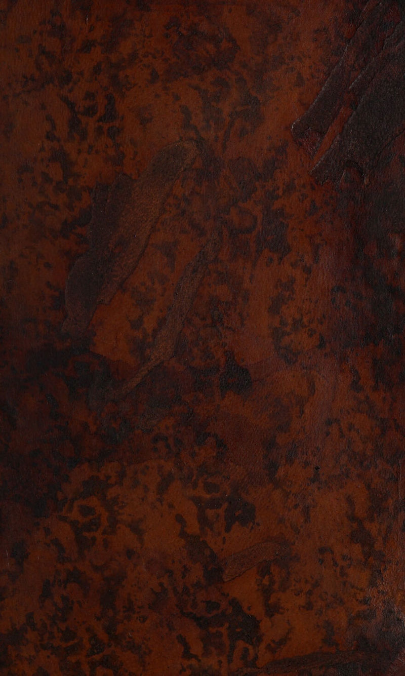 NT 27