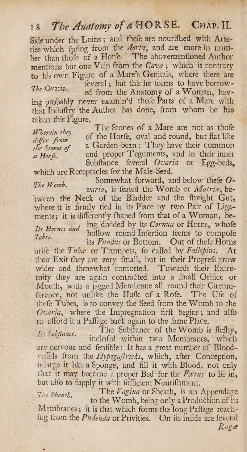 Wherein they differ from the Stones of a Horfe. 1s The Anatomy of a HORSE. Chap. II. Side under the Loins; and thefe are nourifhed with Arte- lies which fpring from the Aorta, and are more in num¬ ber than thofe of a Horfe. The abovementioned Author mentions but one Vein from the Cava ; which is contrary to his own Figure of a Mare's Genitals, where there are , feverai; but this he feems to have borrow¬ ed from the Anatomy of a Woman, hav¬ ing probably never examin’d thofe Parts of a Mare with that Induftry the Author has done, from whom he has taken this Figure. The Stones of a Mare are not as thofe of the Horfe, oval and round, but flat like a Garden-bean : They have their common and proper Teguments, and in their inner Subftance feverai Ovaria or Egg-beds, which are Receptacles for the Male-Seed. cr[ , Somewhat forward, and below thefe O varia, is feated the Womb or Matrix, be¬ tween the Neck of the Bladder and the ftreight Gut, where it is firmly tied in its Place by two Pair of Liga¬ ments; it is differently fhaped from that of a Woman, be- T TT , ing divided by its Cornua or Horns, whofe Its Hornes and , < T r a r r les hollow round infertion feems to compofe its Fundus or Bottom. Out of thefe Horns arife the Tuba or Trumpets, fo called by Fallopius. At their Exit they are very fmall, but in their Progrefs grow wider and fomewhat contorted. Towards their Extre¬ mity they are again contracted into a fmall Orifice or Mouth, with a jagged Membrane all round their Circum¬ ference, not unlike the Hufk of a Rofe. The Ufe of thefe Tubes, is to convey the Seed from the Womb to the Ovaria, where the Impregnation firft begins; and alfo to afford it a Paffage back again to the fame Place. T, The Subftance of the Womb is flefhy, lS u' C ’ inclofed within two Membranes, which are nervous and fenfible: It has a great number of Blood- veffels from the Hypogaftricks, which, after Conception* in large it like a Sponge, and fill it with Blood, not only that it may become a proper Bed for the Fcetus to lie in, but alfo to fupply it with fufficient Nourifhment. The Sheath The Vagina or Sheath, is an Appendage to the Womb, being only a Production of its Membranes; it is that which forms the long Pafiage reach¬ ing from the Pudenda or Privities. On its inftde are feverai Ruga