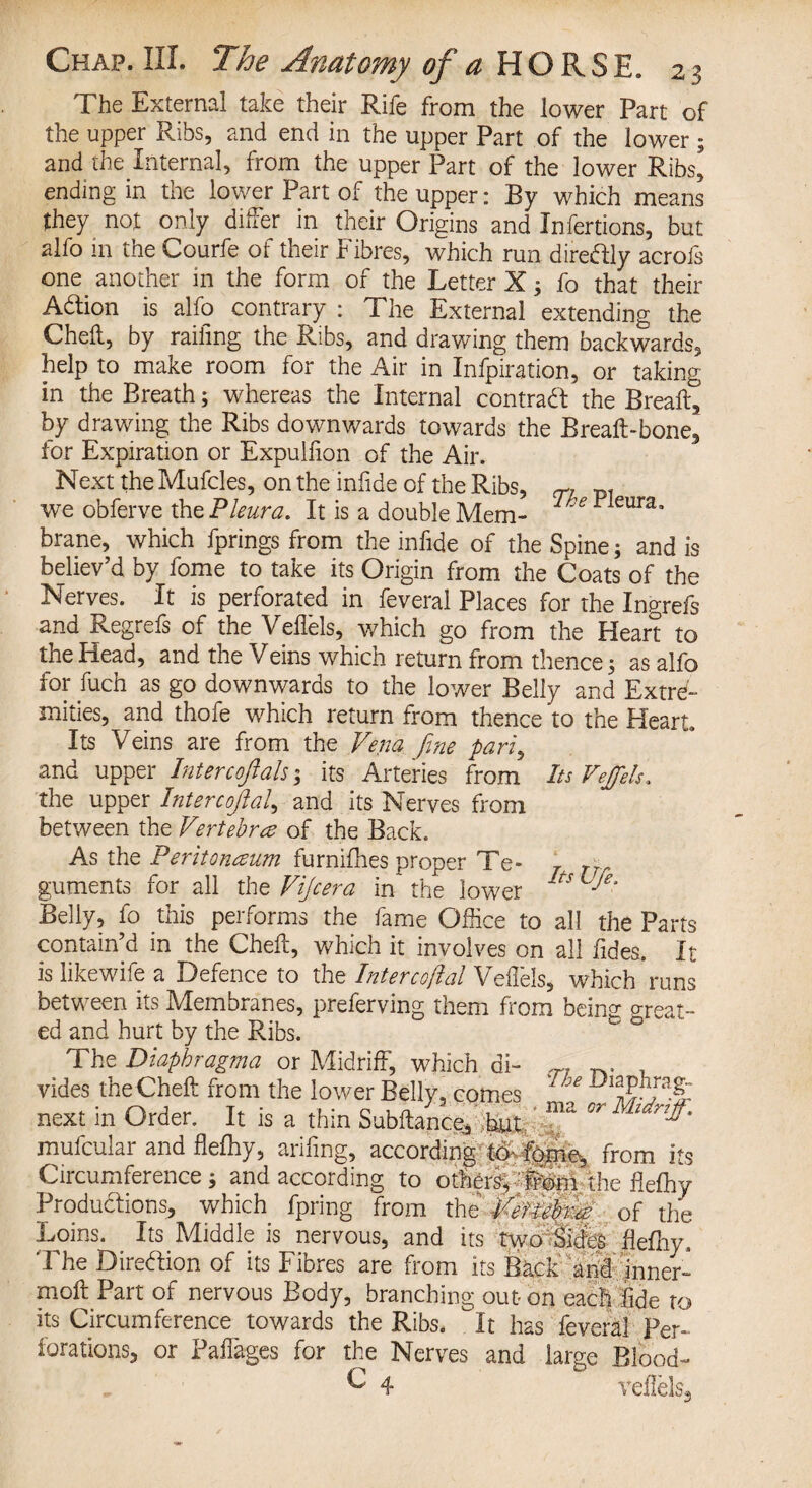 The External take their Rife from the lower Part of the upper Ribs, and end in the upper Part of the lower ; and the Internal, from the upper Part of the lower Ribs, ending in the lower Part of the upper: By which means they not only differ in their Origins and Infertions, but alfo in the Courfe of their Fibres, which run direftly acrofs one another in the form of the Letter X 3 fo that their Adlion is alfo contrary : The External extending the Cheft, by railing the Ribs, and drawing them backwards, help to make room for the Air in Infpiration, or taking in the Breath3 whereas the Internal contract the Bread:, by drawing the Ribs downwards towards the Breaft-bone, for Expiration or Expulfion of the Air. Next the Mufcles, on the infide of the Ribs, r/ P7 we obferve the Pleura. It is a double Mem- 1 e Weura’ brane, which fprings from the infide of the Spine3 and is believ’d by fome to take its Origin from the Coats of the Nerves. It is perforated in feveral Places for the Ingrefs and Regrefs of the Veflels, which go from the Heart to the Head, and the Veins which return from thence 3 as alfo for fuch as go downwards to the lower Belly and Extre¬ mities, and thofe which return from thence to the Heart. Its Veins are from the Vena [me pari, and upper Intercoftah 3 its Arteries from Its Vejfels. the upper Intercojlal, and its Nerves from between the Vertebra of the Back. As the Peritoneum furnifhes proper Te- 7 r rr guments for all the Vijcera in the lower its Lje‘ Belly, fo this performs the fame Office to all the Parts contain’d in the Cheft, which it involves on all fides. It is likewife a Defence to the Intercoftal Veflels, which runs between its Membranes, preferving them from being great- ed and hurt by the Ribs. The Diaphragma or Midriff, which di- , vides the Cheft from the lower Belly, comes DlSKraf: next in Order. It is a thin Subftance, but iar7ff- mufcular and flefhy, ariftng, according from its Circumference 3 and according to other^iKp the flefhy Productions, which fpring from the Velifm of the Loins. Its Middle is nervous, and its two Sides flefhy. The Direction of its Fibres are from its Back arid inner- moft Part of nervous Body, branching out on each Fide to its Circumference towards the Ribs, it has feveral Per¬ forations, or Paffages for the Nerves and large Blood- ^ 4 veflels.