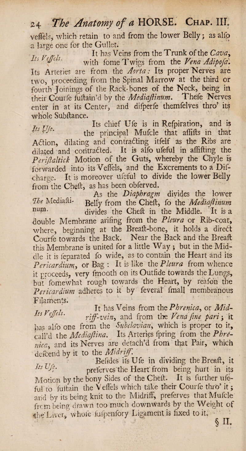 veffels, which retain to and from the lower Belly; as alfp a large one for the Gullet. r It has Veins from the Trunk of the Cava, h eJJL-s' with fome Twigs from the Vena Adipofd. Its Arteries are from the Aorta: Its proper Nerves are two, proceeding from the Spinal Marrow at the third or fourth joinings of the Rack-bones of the Neck, being in their Courfe fuftain’d by the MediaJUnum. Thefe Nerves enter in at its Center, and difperfe themfelves thro’ its whole Subftance. j'7Tf Its chief Ufe is in Refpiration, and is ■is the principal Mufcle that afllfts in that Action, dilating and con trading itfelf as the Ribs are dilated and contracted. It is aifo ufeful in affifting the Perijlaltick Motion of the Guts, whereby the Chyle is forwarded into its Veflels, and the Excrements to a Dif- charge. It is moreover ufeful to divide the lower Belly from the Ch^ft, as has been obferved. As the Diaphragm divides the lower dhe Mediafti- Belly from the Cheft, fo the MediaJUnum divides the Cheft in the Middle. It is a double Membrane arifing from the Pleura or Rib-coat, where, beginning at the Breaft-bone, it holds a diredt Courfe towards the Back. Near the Back and the Breaft this Membrane is united for a little Way ; but in the Mid¬ dle it is feparated fo wide, as to contain the Heart and its Pericardium, or Bag : It is like the Pleura from whence it proceeds, very fmooth on its Outfide towards the Lungs, but fomewhat rough towards the Heart, by reafoh the Pericardium adheres to it' by fevera! fmall membranous Filaments. ‘ It has Veins from the Phrenic a, or Mid- Its Vejfiels. riff-vein, and from the Vena fine pari; it has alfo one from the Subclavian, which is proper to it, call’d the Mediafiina. Its Arteries fpring from the Phre- nica and its Nerves are detach’d from that Pair, which deicend by it to the Midriff,\ . Befides it's Ufe in dividing the Breaft, it Its Ufie. preferves the Heart' from being hurt in its Motion by the bony Sides of the Cheft. It is further ufe- fulro fuftain the Veflels which take their Courfe thro’ it; and by its being knit to the Midriff, preferves that Mufcle frcm being drawn too much downwards by the Weight of dVLiver* whole fufpenfory Ligament is fixed to it; ^ Ilo
