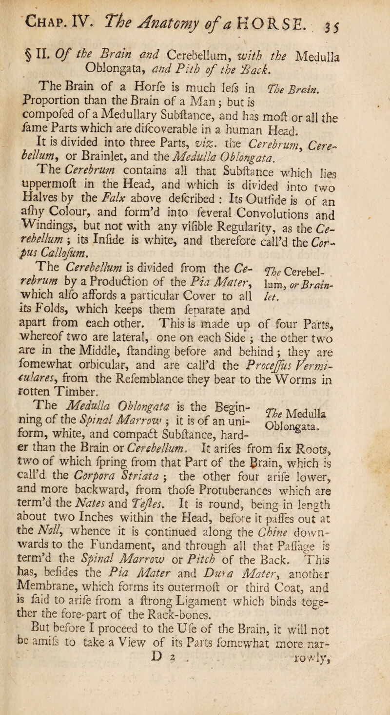 § II. Of the Brain and Cerebellum, with the Medulla Oblongata, and Pith of the Back, The Brain of a Horfe is much lefs in The Brain, Proportion than the Brain of a Man ; but is compofed of a Medullary Subftance, and has moft or all the Fame Parts which are difcoverable in a human Head. It is divided into three Parts, viz. the Cerebrum, Cere¬ bellum, or Brainlet, and the Medulla Oblongata. The Cerebrum contains all that Subftance which lies uppermoft in the Head, and which is divided into two Halves by the Falx above deferibed : Its Outlide is of an alhy Colour, and form’d into feveral Convolutions and Windings, but not with any vifible Regularity, as the Ce¬ rebellum ; its Infide is white, and therefore call’d the Cor¬ pus Callofum. The Cerebellum is divided from the Ce- epjoe Cerebel- rebru?n by a Production of the Pia Mater, lam, or Brain- which alio affords a particular Cover to all let, its Folds, which keeps them feparate and apart from each other. This is made up of four Parts* whereof two are lateral, one on each Side ; the other two are in the Middle, ftanding before and behind ; they are fomewhat orbicular, and are call’d the Procejfus Vermi- eulares, from the Refemblance they bear to the Worms in rotten Timber. The Medulla Oblongata is the Begin- m a/t u u ning of the Spinal Marrow ; it is of an uni- a form, white, and compact Subftance, hard- er than the Brain or Cerebellum. It arifes from fix Roots, two of which fpring from that Part of the Brain, which is call’d the Corpora Striata ; the other four arife lower, and more backward, from thofe Protuberances which are term’d the Nates and T'ejles. It is round, being in length about two Inches within the Head, before it paffes out at the Noll, whence it is continued along the Chine down¬ wards to the Fundament, and through all that Paflage is term’d the Spinal Marrow or Pitch of the Back. This has, befides the Pia Mater and Dwa Mater, another Membrane, which forms its outermoft or third Coat, and is faid to arife from a ftrong Ligament which binds toge¬ ther the fore-part of the Rack-bones. But before I proceed to the Ufe of the Brain, it will not be amifs to take a View of its Parts fomewhat more nar- D % . rowly5