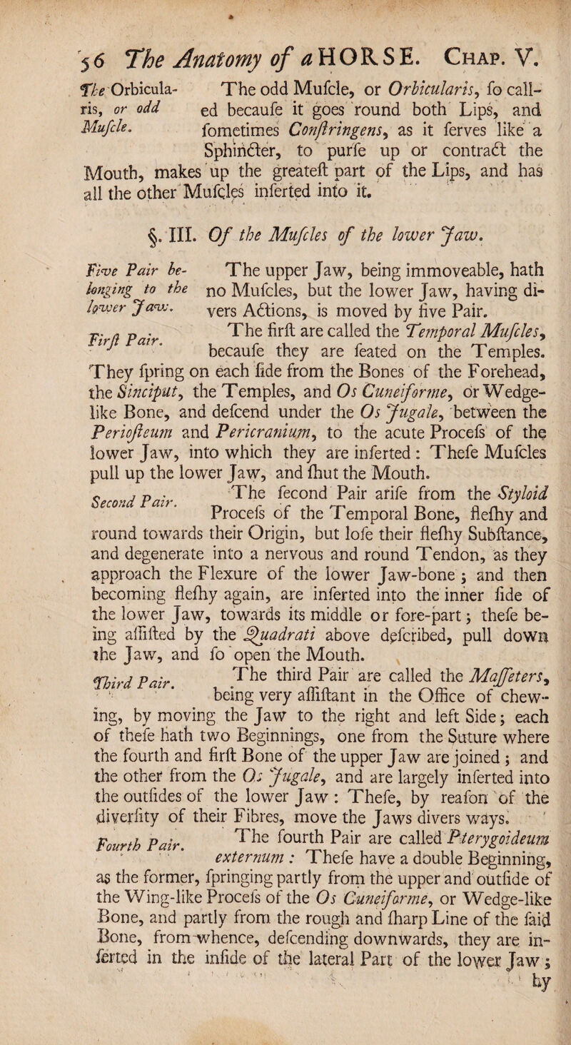 The Orbicula- The odd Mufcle, or Orbicularis, fo call— ris, or odd ed becaufe it goes round both Lips, and Mufcle. fometimes Conftnngens, as it ferves like a Sphiri&er, to purfe up or contract the Mouth, makes up the greateft part of the Lips, and has all the other Mufqles inferted into it. §. III. Of the Mufcles of the lower Jaw. Five Pair be- longing to the It/nyer J av:. Firji Pair. The upper Jaw, being immoveable, hath no Mufcles, but the lower Jaw, having di¬ vers Adions, is moved by live Pair. The firft are called the Temporal Mufcles9 becaufe they are feated on the Temples. They fpring on each fide from the Bones of the Forehead, the Sinciput, the Temples, and Os Cune forme, or Wedge¬ like Bone, and defcend under the Os Jugate, between the Periofieum and Pericranium, to the acute Procefs of the lower Jaw, into which they are inferted : Thefe Mufcles pull up the lower Jaw, and fhut the Mouth. c,rnnj n • The fecond Pair arife from the Styloid second an . procefg of Temporaj flefhy and round towards their Origin, but lofe their flefhy Subftance, and degenerate into a nervous and round Tendon, as they approach the Flexure of the lower Jaw-bone ; and then becoming flefhy again, are inferted into the inner fide of the lower Jaw, towards its middle or fore-part; thefe be¬ ing aflifted by the ^uadrati above defcribed, pull down the Jaw, and fo open the Mouth. erj'.j p • The third Pair are called the Maffeters, being very affiftant in the Office of chew¬ ing, by moving the Jaw to the right and left Side; each of thefe hath two Beginnings, one from the Suture where the fourth and firft Bone of the upper Jaw are joined ; and the other from the Os Jugale, and are largely inferted into the outfides of the lower Jaw: Thefe, by reafon of the diverlity of their Fibres, move the Jaws divers ways. Fourth Pair The ^ourt^ Pair are called Pterygoideum externum : Thefe have a double Beginning, as the former, fpringing partly from the upper and outfide of the Wing-like Procefs of the Os Cuneiform^, or Wedge-like Bone, and partly from the rough and fharp Line of the faid Bone, from-whence, defending downwards, they are in¬ ferred in the infide of the lateral Part of the lower Jaw;