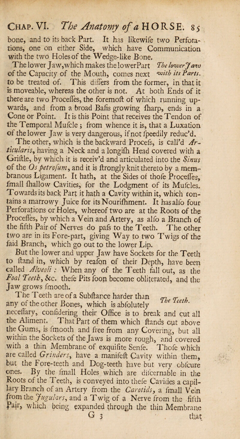 bone, and to its back Part. It has likewife two Perfora¬ tions, one on either Side, which have Communication with the two Holes of the Wedge-like Bone. The lower Jaw,which makes the lowerPart The lower Jaw of the Capacity of the Mouth, comes next its Parts, to be treated of. This differs from the former, in that it is moveable, whereas the other is not. At both Ends of it there are two Procelles, the foremoft of which running up¬ wards, and from a broad Balls growing (harp, ends in a Cone or Point. It is this Point that receives the Tendon of the Temporal Mufcle ; from whence it is, that a Luxation of the lower Jaw is very dangerous, if not fpeedily reduc'd. < The other, which is the backward Procefs, is call'd Ar- ticularis, having a Neck and a longifh Head covered with a Griftle, by which it is receiv’d and articulated into the Sinus of the Os petrofum, and it is llrongly knit thereto by a mem¬ branous Ligament. It hath, at the Sides of thofe Procelles, ifnall (hallow Cavities, for the Lodgment of its Mufcles. Towards its back Part it hath a Cavity within it, which con¬ tains a marrowy Juice for itsNourifhment. It hasalfo four Perforations or Holes, whereof two are at the Roots of the Procelles, by which a Vein and Artery, as alfo a Branch of the fifth Pair of Nerves do pafs to the Teeth. The other two are in its Fore-part, giving Way to two Twigs of the laid Branch, which go out to the lower Lip. But the lower and upper Jaw have Sockets for the Teeth to Hand in, which by reafon of their Depth, have been called Alveoli: When any of the Teeth fall out, as the Foal Teetb, kc. thefe Pits (bon become obliterated, and the Jaw grows fmooth. The Teeth are of a Subftance harder than ctl r u any of the other Bones, which is abfolutely eeth' neceflary, conlidering their Office is to break and cut all the Aliment, That Part of them which (lands out above the Gums, is fmooth and free from any Covering, but all within the Sockets of the Jaws is more rough, and covered with a thin Membrane of exquilite Senfe. Thofe which are called Grinders, have a manifelt Cavity within them, but the Fore-teeth and Dog-teeth have but very obfcure ones. By the fmall Holes which are difcernable in the Roots of the Teeth, is conveyed into thefe Cavides a capil¬ lary Branch of an Artery from the Carotids, a fmall Vein from the Jugulars, and a Twig of a Nerve from the fifth fair, which being expanded through the thin Membrane G 3 that