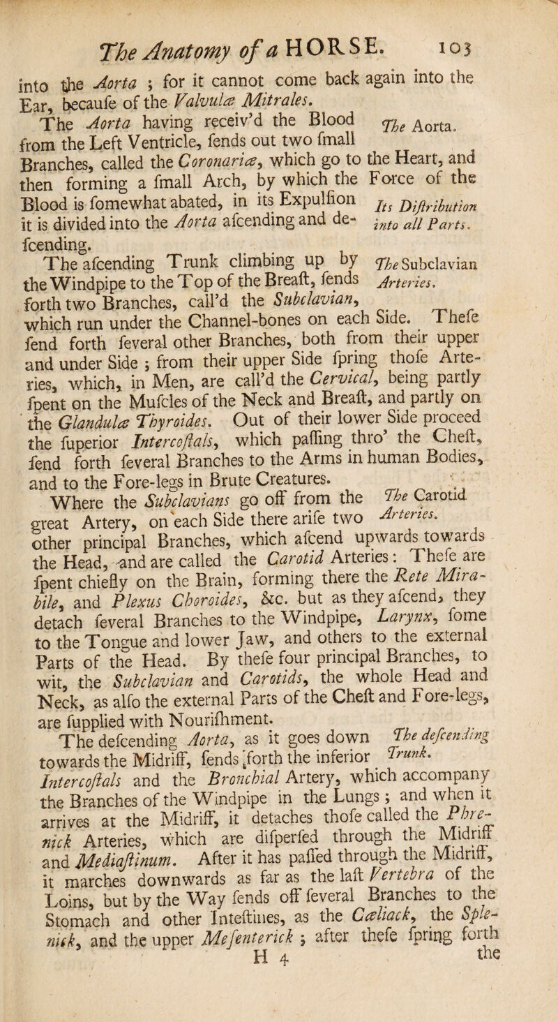 Into the Aorta ; for it cannot come back again into the Ear, becaufe of the Valvules Mitrales. J The Aorta having receiv’d the Blood The Aorta from the Left Ventricle, fends out two fmall Branches, called the Coronaries, which go to the Heait, and then forming a fmall Arch, by which the Force of the Blood is fomewhat abated, in its Expulfion jts jyijirnution it is divided into the Aorta afeendingand de- into all Parts. feending. The afeending Trunk climbing up by Subclavian the Windpipe to the Top of the Breaft, fends Arteries. forth two Branches, call’d the Subclavian, which run under the Channel-bones on each Side. . Thefe fend forth feveral other Branches, both from their upper and under Side ; from their upper Side fpring thofe Arte¬ ries, which, in Men, are call’d the Cervical, being partly fpent on the Mufcles of the Neck and Breaft, and partly on ' the Glandules Thyroides. Out of their lower Side proceed the fuperior Intercoflals, which palling thro the Cheft, fend forth feveral Branches to the Arms in human Bodies, and to the Fore-legs in Brute Creatures. Where the Subclavians go off from the Me Carotid, great Artery, on each Side there arife two Arteries. other principal Branches, which afeend upwards towards the Head, -and are called the Carotid Arteries: Thefe are fpent chiefly on the Brain, forming there the Rete Mira- bile, and Plexus Cboroides, he. but as they afeend, they detach feveral Branches to the Windpipe, Larynx, feme to the Tongue and lower Jaw, and others to the external Parts of the Head. By thefe four principal Branches, to wit, the Subclavian and Carotids, the whole Head and Neck, as alfo the external Parts of the Gheft and Fore-leg^, are fupplied with Nourifhment. The defending Aorta, as it goes down Me defending towards the Midriff, fends “forth the inferior _ Trunk. Intercojials and the Bronchial Artery, which accompany the Branches of the Windpipe in the Lungs; and when it arrives at the Midriff, it detaches thofe called the nick Arteries, which are difperfed through the Midriff and Mediaflinum. After it has paffed through the Midrifi, it marches downwards as far as the laft Vertebra of the Loins, but by the Way fends off feveral Branches to the Stomach and other Inteftines, as the Ccsliack, the Sple- nick, and the upper Mefenterick , after thefe fpring foith H 4 the