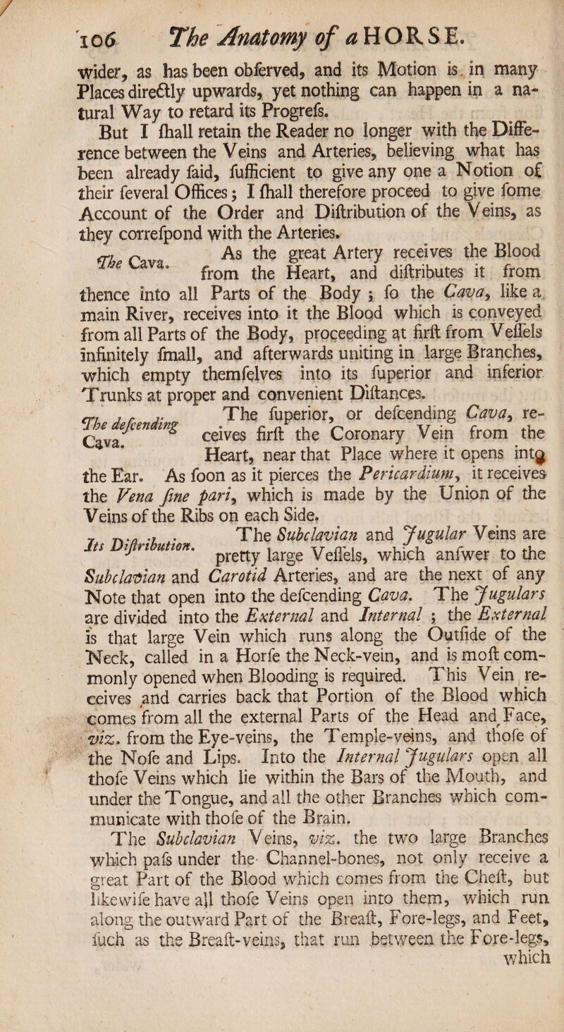 wider, as has been obferved, and its Motion is. in many Places directly upwards, yet nothing can happen in a na¬ tural Way to retard its Progrefs. But I fhall retain the Reader no longer with the Diffe¬ rence between the Veins and Arteries, believing what has been already faid, fufficient to give any one a Notion of their feveral Offices; I (hall therefore proceed to give fome Account of the Order and Diftribution of the Veins, as they correfpond with the Arteries. cry c , As the great Artery receives the Blood from the Heart, and diftributes it from thence into all Parts of the Body ; fo the Cava, like a. main River, receives into it the Blood which is conveyed from all Parts of the Body, proceeding at firft from Veflels infinitely finall, and afterwards uniting in large Branches, which empty themfelves into its fuperior and inferior Trunks at proper and convenient Diftances. cn j r j' The fuperior, or defending Cava* re- nedefcen^s ^ firft £he Coronary Vein from the Heart, near that Place where it opens int^ the Ear. As foon as it pierces the Pericardium, it receives the Vena fine pariy which is made by the Union of the Veins of the Ribs on each Side. t -i • The Subclavian and Jugular Yzins are Its Diftribution, ^ ^ which anfwer £0 ^ Subclavian and Carotid Arteries, and are the next of any Note that open into the defcending Cava. The Jugulars are divided into the External and Internal ; the External is that large Vein which runs along the Outfide of the Neck, called in a Horfe the Neck-vein, and is moft com¬ monly opened when Blooding is required. This Vein re¬ ceives and carries back that Portion of the Blood which comes from all the external Parts of the Head and^Face, ■viz. from the Eye-veins, the Temple-veins, and thofe of the Nofe and Lips. Into the Internal Jugulars open all thofe Veins which lie within the Bars of the Mouth, and under the Tongue, and all the other Branches which com¬ municate with thofe of the Brain. The Subclavian Veins, viz. the two large Branches which pafs under the Channel-bones, not only receive a great Part of the Blood which comes from the Cheft, but like wife have ajl thofe Veins open into them, which run along the outward Part of the Breaft, Fore-legs, and Feet, inch as the Breaft-veins, that run between the Foredegs, which
