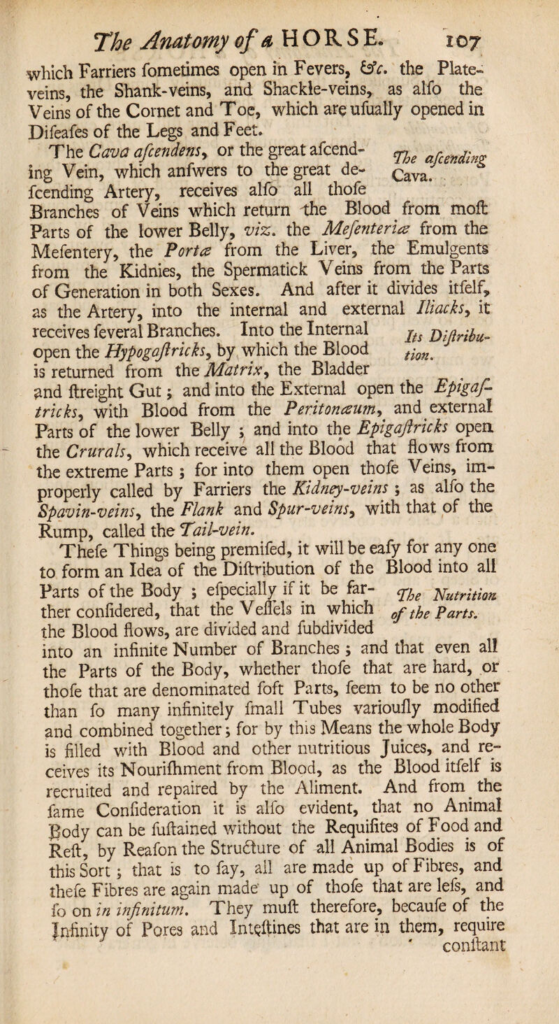 which Farriers fometimes open in Fevers, &c. the Plate- veins, the Shank-veins, and Shackle-veins, as alfo the Veins of the Cornet and Toe, which areufually opened in Difeafes of the Legs and Feet. The Cava afcendens, or the great afcend- n r ~ ing Vein, which anfwers to the great de- q^Z g fcending Artery, receives alfo all thofe Branches of Veins which return the Blood from moft Parts of the lower Belly, viz. the Mefenteria from the Mefentery, the Porta from the Liver, the Emulgents from the Kidnies, the Spermatick Veins from the Parts of Generation in both Sexes. And after it divides itfelf, as the Artery, into the internal and external Iliacksy it receives feveral Branches. Into the Internal jts open the Hypogafiricks, by which the Blood tkn% is returned from the Matrix, the Bladder and ftreight Gut ; and into the External open the Epigaf- tricks, with Blood from the Peritonaum, and external Parts of the lower Belly ; and into the Epigaftricks open the Crurals, which receive all the Blood that flows from the extreme Parts; for into them open thofe Veins, im¬ properly called by Farriers the Kidney-veins; as alfo the Spavin-veins^ the Flank and Spur-veins, with that of the Rump, called the Tail-vein. Thefe Things being premifed, it will be eafy for any one to form an Idea of the Diftribution of the Blood into all Parts of the Body ; efpecially if it be far- cgjoe Nutrition ther confidered, that theVeflels in which 0f the Part?. the Blood flows, are divided and fubdivided into an infinite Number of Branches; and that even all the Parts of the Body, whether thofe that are hard, or thofe that are denominated foft Parts, feem to be no other than fo many infinitely fmall Tubes varioufly modified and combined together; for by this Means the whole Body is filled with Blood and other nutritious Juices, and re¬ ceives its Nourifhment from Blood, as the Blood itfelf is recruited and repaired by the Aliment. And from. the fame Confideration it is alfo evident, that no Animal gody can be fuftained without the Requifites of Food and Reft, by Reafon the Structure of all Animal Bodies is of this Sort; that is to fay, ail are made up of Fibres, and thefe Fibres are again made up of thofe that are lefs, and fo on in infinitum. They muft therefore, becaufe of the Infinity of Pores and IntQftines that are in them, require conftant