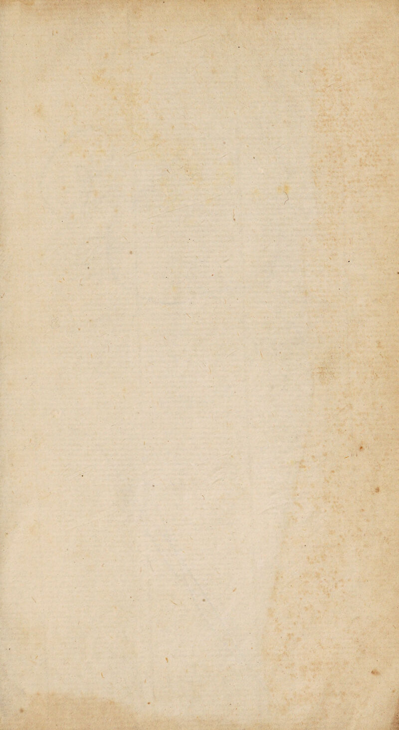 \ / V ✓ \ V > * V. i * ■; ' v y :