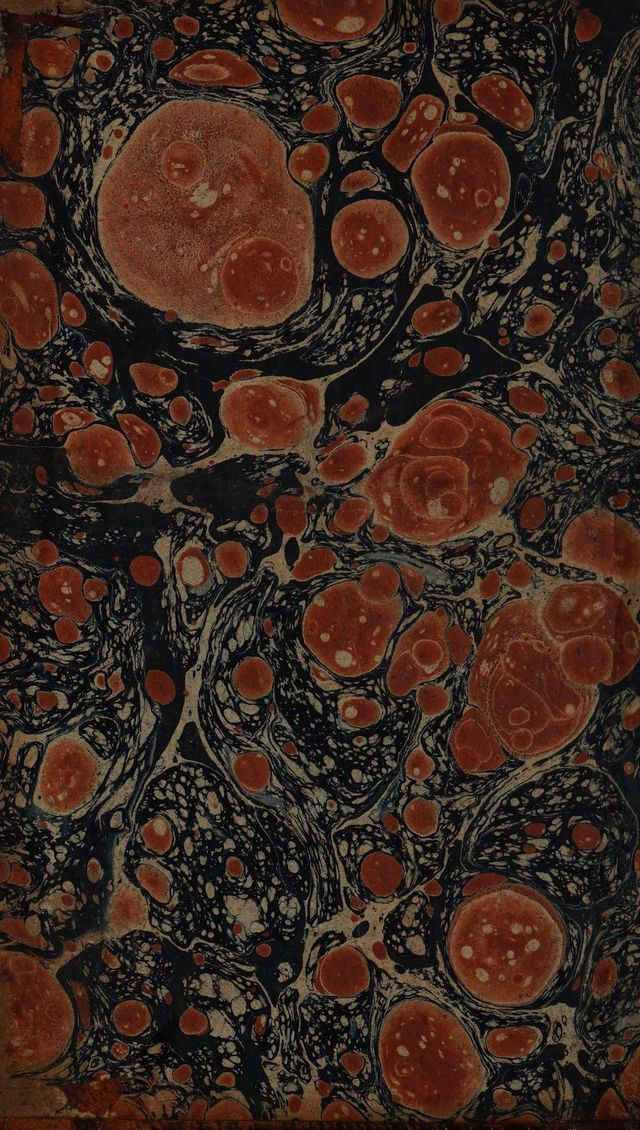 digitised image 2