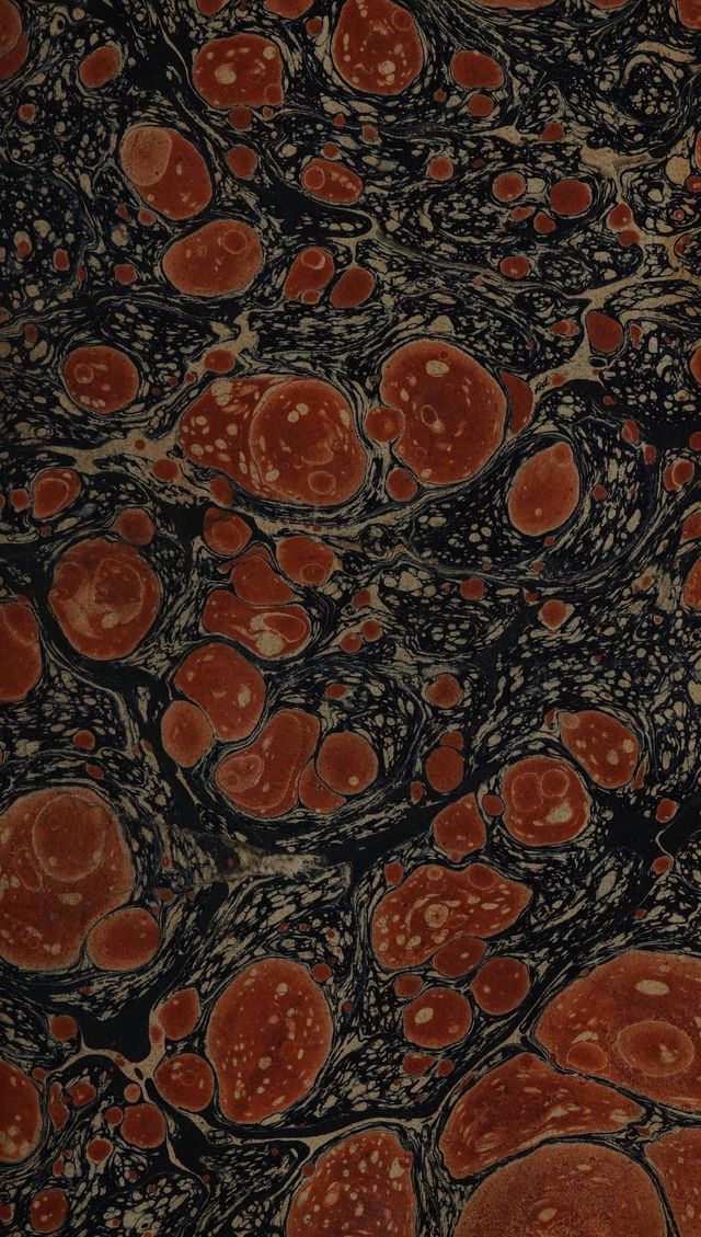 digitised image 3