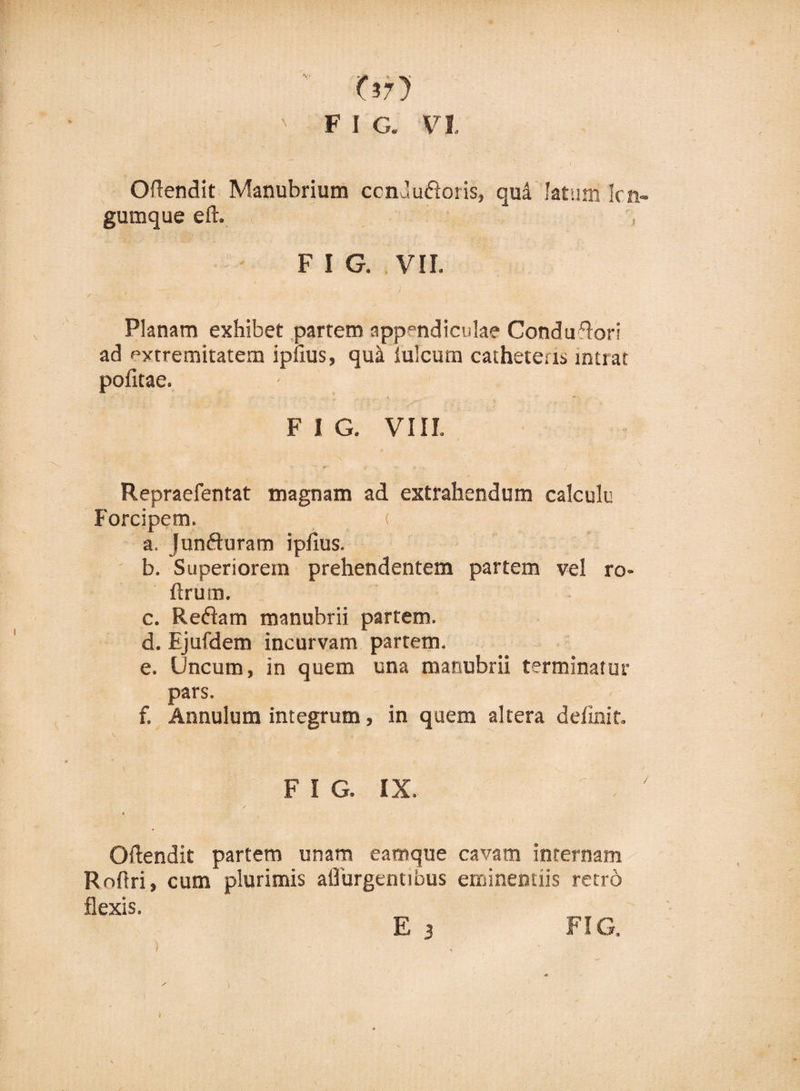 / ’ f ) F I G. VI Oftendit Manubrium ccnd udioris» qua latum kn- gumque eft. F I G. VII. Planam exhibet partem appendiculae Condu-fiori ad extremitatem ipfius, quii Iuleum catheteris intrat politae. ■ F I G. VIII. - x • &lt; v -- r. ^ - Repraefentat magnam ad extrahendum calculu Forcipem. ( a. Jundhiram ipfius. b. Superiorem prehendentem partem vel ro- ftrum. c. Rediam manubrii partem. d. Ejufdem incurvam partem. e. Uncum, in quem una manubrii terminatur pars. f. Annulum integrum, in quem altera definit. V \ 'i F I G. IX. , ' Oftendit partem unam eamque cavam internam Roftri» cum plurimis adurgentibus eminentiis retro flexis. E 3 FIG. 1 i