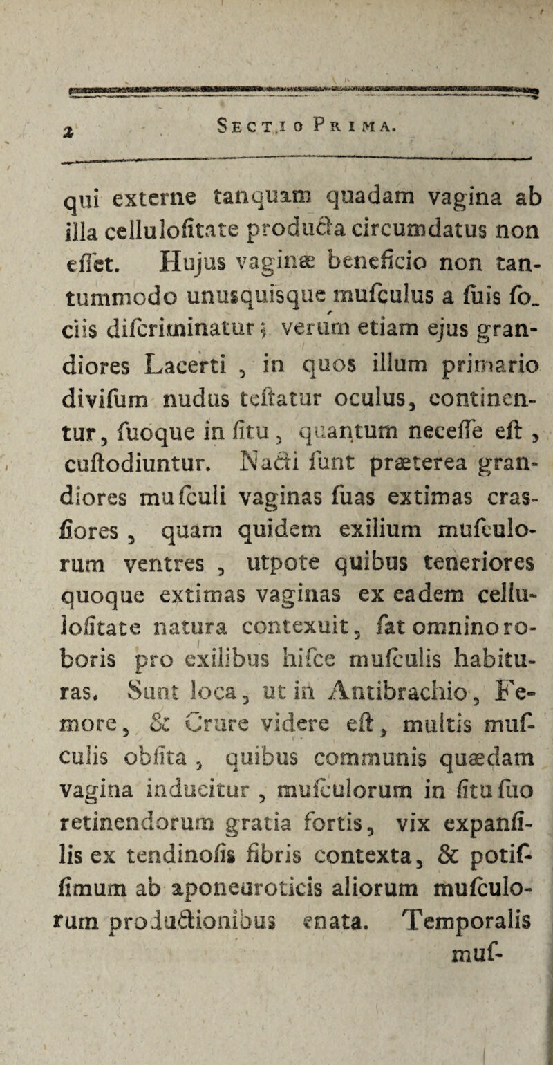 5 Sectio Prima. qui externe tanqua.ro quadam vagina ab illa cellulofitate producla circumdatus non e fiet. Hujus vagina; beneficio non tan¬ tummodo unusquisque mufculus a fuis fo_ ciis diferiminatur; verum etiam ejus gran¬ diores Lacerti , in quos illum primario divifum nudus teftatur oculus, continen¬ tur, fuoque in fitu , quantum necefie eft , cuftodiuntur. Nadi funt praeterea gran¬ diores mufculi vaginas fuas extimas cras- fiores , quam quidem exilium mufeulo- rum ventres , utpote quibus teneriores quoque extimas vaginas ex eadem cellu- lofitate natura contexuit, fat omnino ro¬ boris pro exilibus hifce mufculis habitu¬ ras. Sunt loca, ut in Antibrachio, Fe¬ more , & Crure videre eft, multis muf- cuiis oblita , quibus communis quaedam vagina inducitur , mulculorum in fitufuo retinendorum gratia fortis, vix expanfi- lis ex tendinofis fibris contexta, & poti£ fimum ab aponeuroticis aliorum mufculo- rutn proiuftionibu» enata. Temporalis muf-