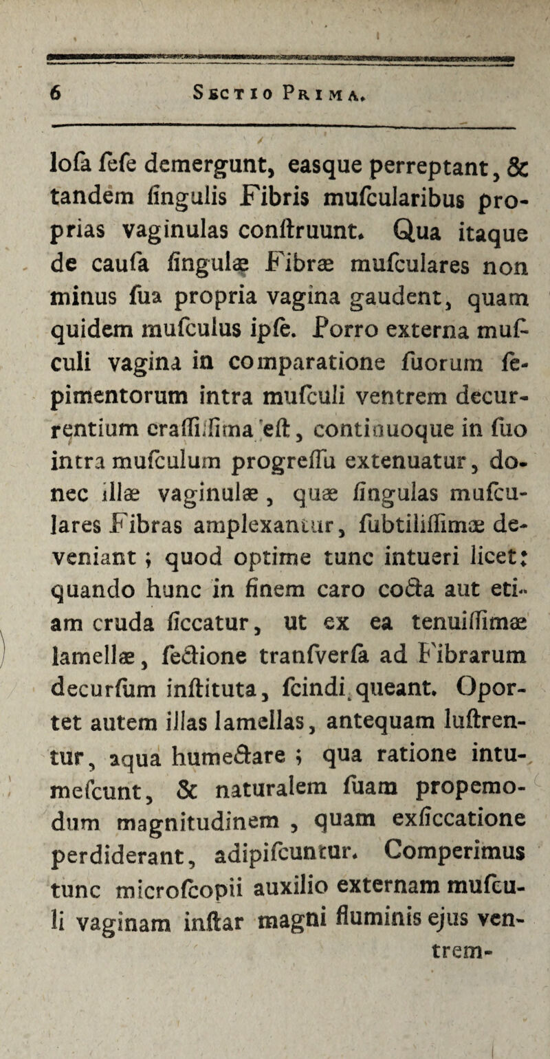 lofa fele demergunt, easque perreptant, & tandem lingulis Fibris mufcularibus pro¬ prias vaginulas conftruunt. Qua itaque de caufa lingulae Fibrae mufculares non minus Tua propria vagina gaudent, quam quidem mulculus iple. Porro externa muf culi vagina in comparatione Tuorum fe- pimentorum intra mufculi ventrem decur¬ rentium crafliifima eft, eontiouoque in Tuo intra mufculum progreflu extenuatur, do¬ nec illae vaginulae, quae lingulas mufcu¬ lares Fibras amplexantur, Tubtiliflimae de¬ veniant ; quod optime tunc intueri licet: quando hunc in finem caro coda aut eti¬ am cruda liceatur, ut ex ea tenui (limae lamellae, fedione tranfverfa ad Fibrarum decurlum inftituta, fcindi.queant. Opor¬ tet autem illas lamellas, antequam luftren- tur, aqua hume&are ; qua ratione intu- mefeunt, & naturalem Tuam propemo- dum magnitudinem , quam exliccatione perdiderant, adipifeuntur. Comperimus tunc microfcopii auxilio externam mufeu- li vaginam indar magni fluminis ejus ven¬ trem-