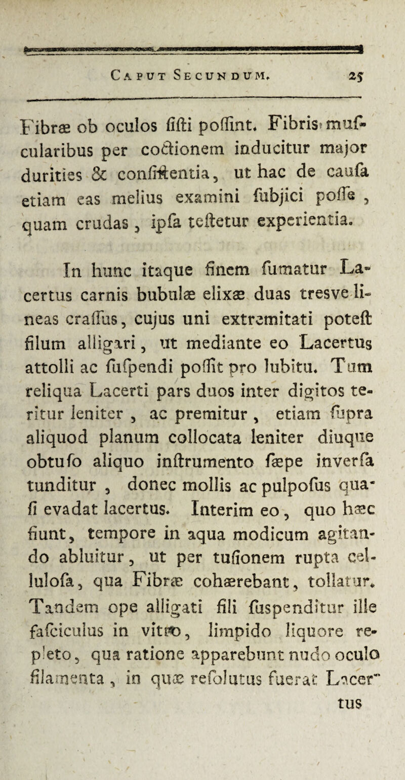 -J!—!L-l!iilSSS! f ibrae ob oculos fifti poffint. Fibris-rnuf- cularibus per coctionem inducitur major durities & confidentia, ut hac de cauta etiam eas melius examini fubjici polia , quam crudas , ipfa teftetur experientia. In hunc itaque finem fumatur La¬ certus carnis bubulae elixae duas tresve li¬ neas crafius, cujus uni extremitati poteft filum alligari, ut mediante eo Lacertus attolli ac fufpendi poilit pro lubitu. Tum reliqua Lacerti pars duos inter digitos te¬ ritur leniter , ac premitur , etiam (upra aliquod planum collocata leniter diuque obtufo aliquo inftrumento faepe inverfa tunditur , donec mollis ac pulpofus qua* fi evadat lacertus. Interim eo, quo hsc fiunt, tempore in aqua modicum agitan¬ do abluitur, ut per tufionem rupta cel- lulofa, qua Fibrae cohaerebant, tollatur. Tandem ope alligati fili dispenditur ille fafciculus in vitro, limpido liquore re¬ pleto, qua ratione apparebunt nudo oculo filamenta , in quae refolutus fuerat Lacer tus