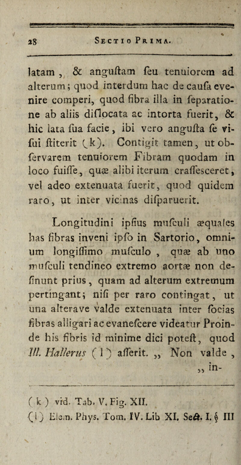 latam , & anguftam feu tenuiorem ad alterum; quod interdum hac de caufa eve¬ nire comperi, quod fibra illa in feparatio- ne ab aliis diflocata ac intorta fuerit, & hic iata fua facie, ibi vero angufta fe vi- fui ftiterit fk). Contigit tamen, ut ob- fervarem tenuiorem Fibram quodam in loco fuifle, quae alibi iterurn craflesceret, vel adeo extenuata fuerit, quod quidem raro, ut inter vicinas difparuerit. Longitudini ipfius mufculi aequales has fibras inveni ipfo in Sartorio, omni¬ um longiflimo mufculo , quae ab lino mufculi tendineo extremo aortae non de- flnunt prius, quam ad alterum extremum pertingant; nifi per raro contingat, ut una alterave valde extenuata inter fodas fibras alligari ac evanefeere videatur Proin¬ de his fibris id minime dici poteft, quod Jll. Hallerus ( iafferit. „ Non valde , „ in- ( k ) vid. Tab. V. Fig. XU.