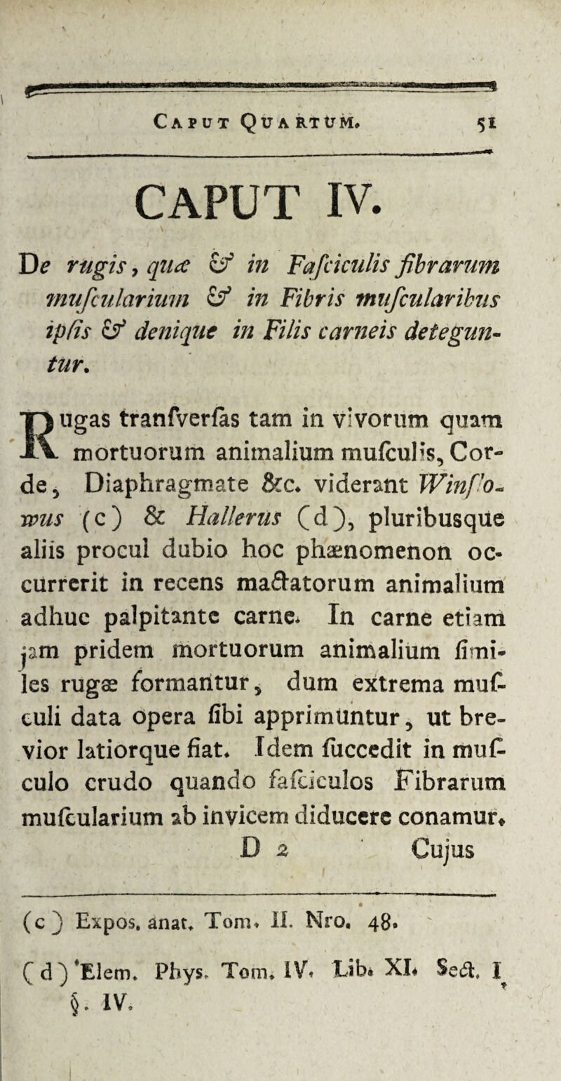 CAPUT IV. De rugis, qua cf in Fafciculis fibrarum mufcularium & in Fibris miifcularihiis ip/is & denique in Filis carneis detegun¬ tur. Rugas tranfverfas tam in vivorum quam mortuorum animalium mufcuHs, Cor¬ de, Diaphragmate &c. viderant Win fio. reus (c) & Hallerus fd), pluribusque aliis procul dubio hoc phaenomenon oc¬ currerit in recens maftatorum animalium adhuc palpitante carne. In carne etiam jam pridem mortuorum animalium fimi- les rugae formantur, dum extrema muf- culi data opera libi apprimuntur, ut bre¬ vior latiorque fiat. Idem luccedit in mu£ culo crudo quando fafciculos Fibrarum mufcularium ab invicem diducere conamur» D 2 Cujus (cj) Expos. anat. Tom. if. Nro. 48. ( d)*Elem. Phys. Tom. IV. Lib. XI» Sedi, §. iv.