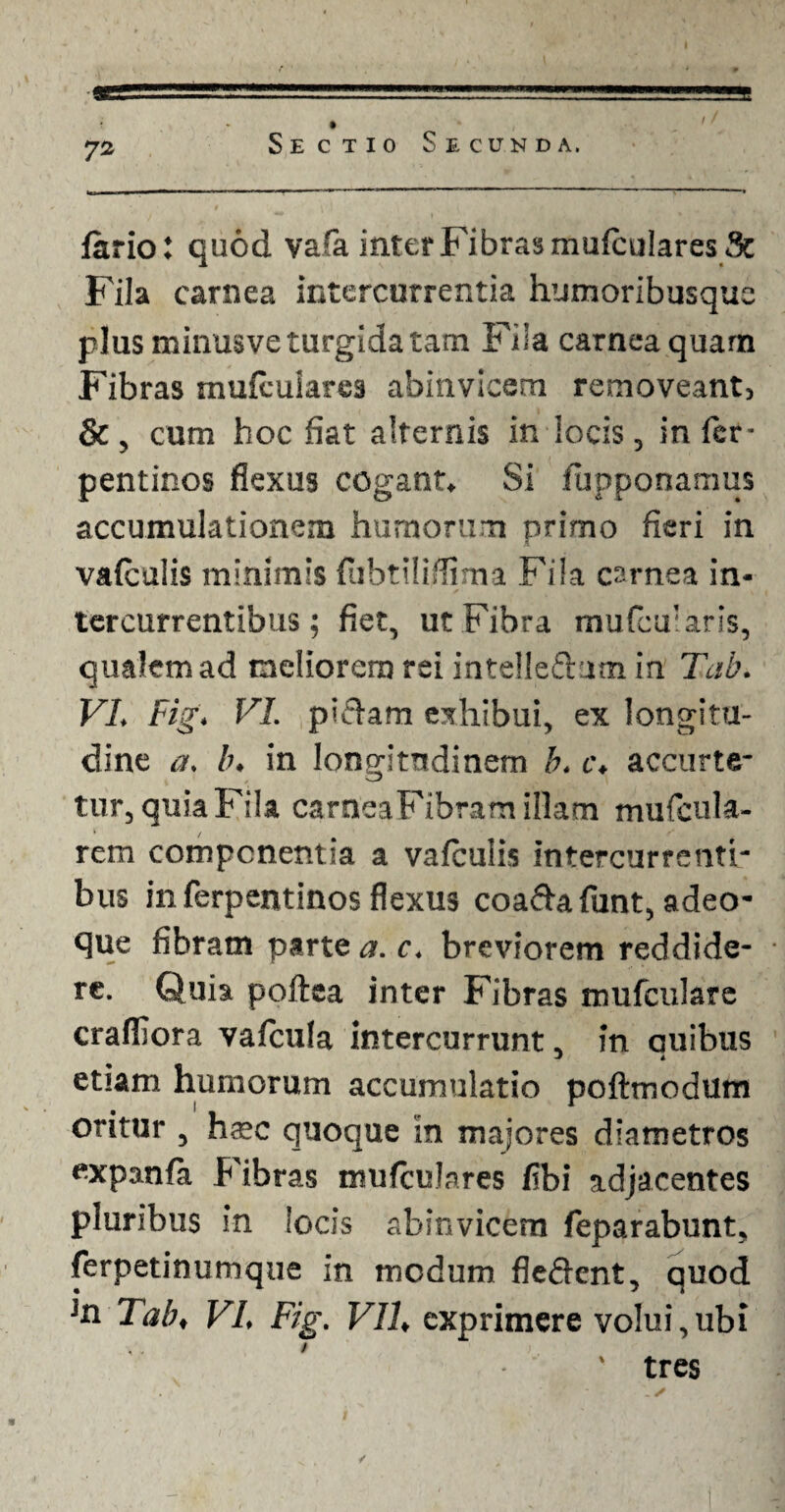 fario: quod vafa inter Fibras muicularesSe Fila carnea intercurrentia humoribusque plus minusve turgida tam Fila carnea quam Fibras mufculares abinviceru removeant, & , cum hoc fiat alternis in iocis, in fer- pentinos flexus cogant. Si fupponamus accumulationem humorum primo fieri in vaiculis minimis {ubtiliffima Fila carnea in¬ tercurrentibus ; fiet, ut Fibra mufcumris, qualem ad meliorem rei intelleftam in Tah. VI. Fig. VI. piclam exhibui, ex longitu¬ dine a. b. in longitudinem b. c, accurte- tur, quia Fila carneaFibram illam mufcula- rem componentia a vaiculis intercurrenti¬ bus in ferpentinos flexus coadafunt, adeo- que fibram parte a. c. breviorem reddide¬ re. Quia poftea inter Fibras mufculare crafllora vafcula intercurrunt, in auibus etiam humorum accumulatio poftmodum oritur , hscc quoque 'in majores diametros expanfa Fibras mufculares flbi adjacentes pluribus in iocis abinvicem feparabunt, ferpetinumque in modum fledent, quod jn Tab, VI, Fig. VII, exprimere volui,ubi ' tres