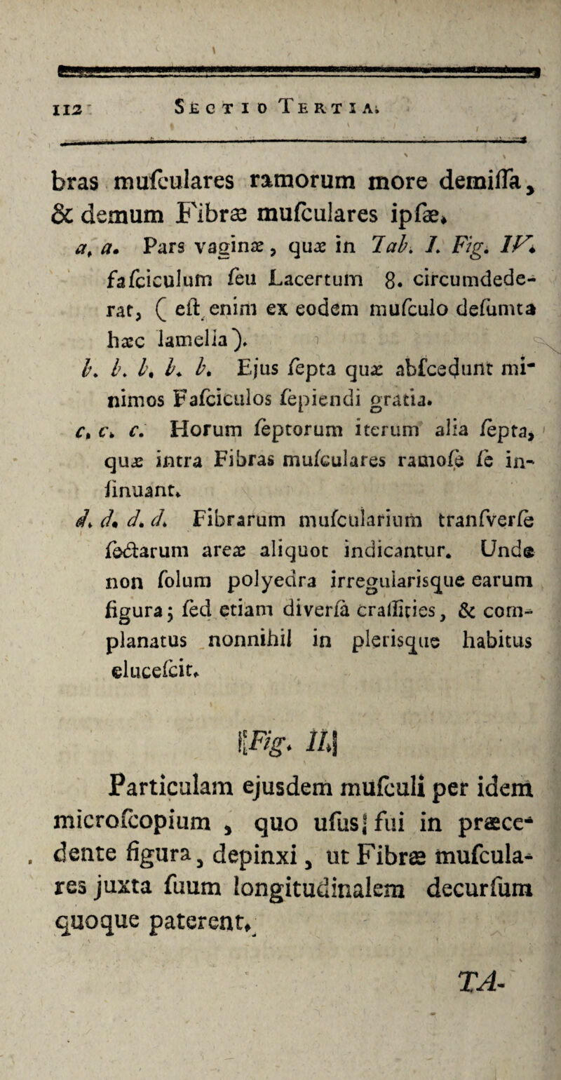 bras mufculares ramorum more demifla, & demum Fibrae mufculares ipfae* a, a. Pars vaginae, quae in 7 ab. 1. Fzg. 7VT fafciculum feu Lacertum 8. circumdede¬ rat, Q eft enim ex eodem mufculo defumta hxc lamella), b. b. l\ b+ b. Ejus fepta qua: abfcecjunt mi¬ nimos Fafciculos fepiendi gratia. c% c\ c. Horum feptorum iterum alia /epta, quas intra Fibras mufculares rauiofe fe in- finuant. d. d. d> Fibrarum mufcuiarium tranfverfe i * • '* '.•/ ’ j yL*« * *■ * fedtarum areae aliquot indicantur. Unde non folum polyedra irreguiarisque earum figura; fed etiam diverfa craffities, & corn^ planatus nonnihil in plerisqus habitus elucefcit. i\Fig. ll.\ Particulam ejusdem mufculi per idem microlcopium , quo ufusj fui in praece-* . dente figura, depinxi, ut Fibrae mufcula* res juxta fuum longitudinalem decurfum quoque paterent,^ TA-