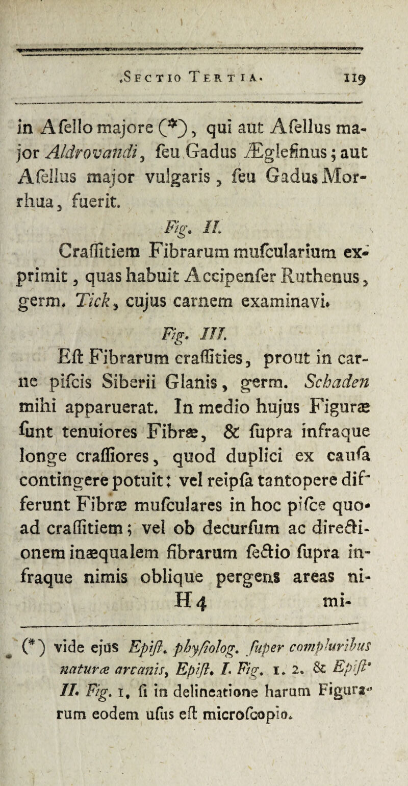 ♦Sectio Tertia. i 19 in Afello majore <3U‘ aut Aiellus ma¬ jor Aldrovandi, feu Gadus iEglefinus; auc Afellus major vulgaris, feu Gadus Mor- rhua, fuerit. Fig. II. Craflitiem Fibrarum mufcularium ex» primit, quas habuit Accipenfer Ruthenus, germ. Tick, cujus carnem examinavi. Fig. ITT. Eft Fibrarum craflities, prout in car¬ ne pileis Siberii Glanis, germ. Schaden mihi apparuerat. In medio hujus Figurae funt tenuiores Fibrae, & fupra infraque longe crafliores, quod duplici ex caufa contingere potuit: vel reipfa tantopere dif* ferunt Fibrae mufculares in hoc pilee quo* ad craflitiem; vel ob decurfum ac direfli- onem inaequalem fibrarum leftio fupra in¬ fraque nimis oblique pergens areas ni¬ li 4 mi- (#) vide ejus Epift. phyfiolog,* fuper compluribus naturae are anis y Epift• L Fig. 1. 2. & Epift* //• Fig. if fi in delineatione harum Figunt*’ rum eodem ufus eft microfcopio*