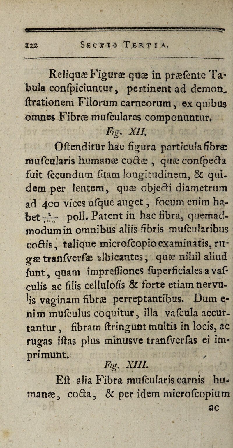 Reliquae Figurae quae in praefente Ta¬ bula confpiciuntur, pertinent ad demon, ftrationem Filorum carneorum, ex quibus omnes Fibrae mu (culares componuntur. Fig. XII. Offenditur hac figura particula fibrae mufcularis humanae coctae , quae confpeda fuit fecundum fuam longitudinem, Sc qui¬ dem per lentem, quae objedi diametrum ad 400 vices ufque auget, focum enim ha¬ bet^ poli. Patent in hac fibra, quemad¬ modum in omnibus aliis fibris mufcularibus codis, talique microfcopio examinatis, ru¬ ga; tranfverfae albicantes, quae nihil aliud funt, quam imprefliones fuperficialesavaf- culis ac filis cellulofis & forte etiam nervu¬ lis vaginam fibrae perreptantibus. Dum e- nim mufculus coquitur, illa vafcula accur- tantur, fibram ftringunt multis in locis, ac rugas illas plus minusve tranfverfas ei im- primunt* ✓ Fig. XIII. Eft alia Fibra mufcularis carnis hu¬ manae, coda, & per idem microfcopium ac