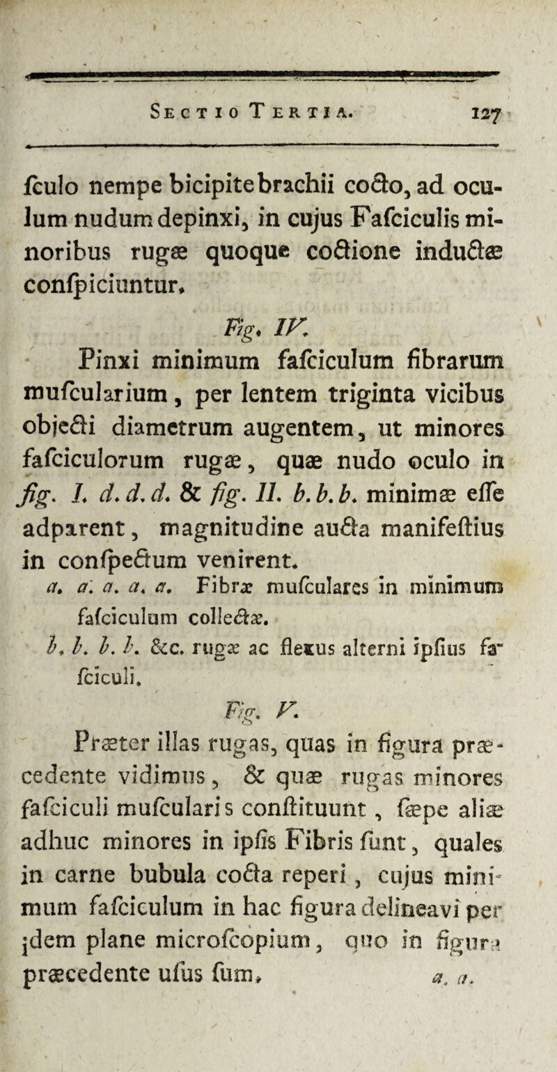 fculo nempe bicipite brachii coQo, ad ocu¬ lum nudum depinxi, in cujus Falciculis mi¬ noribus rugae quoque coftione induftae conlpiciuntur. Fig, IV. Pinxi minimum falciculum fibrarum mufcularium, per lentem triginta vicibus objefii diametrum augentem, ut minores fafciculorum rugae, quae nudo oculo in fig. 1. d. d. d. & fig. 11. b. b. b. minimae efle adparent, magnitudine au&a manifeftius in confpe&um venirent. a. a', a. a. a. Fibra: mulculares in minimum falciculum collecte. b. b. b. b. &c. rugae ac flexus alterni ipfius fa* fciculi. Ffi V. Praeter illas rugas, quas in figura prae¬ cedente vidimus, & quae rugas minores fafciculi mulcularis conftituunt, faepe alia; adhuc minores in ipfis Fibris fiunt, quales in carne bubula cofta reperi, cujus mini¬ mum fiafciculum in hac figura delineavi per jdem plane microlcopium, quo in figura praecedente ufius fium, a. a.