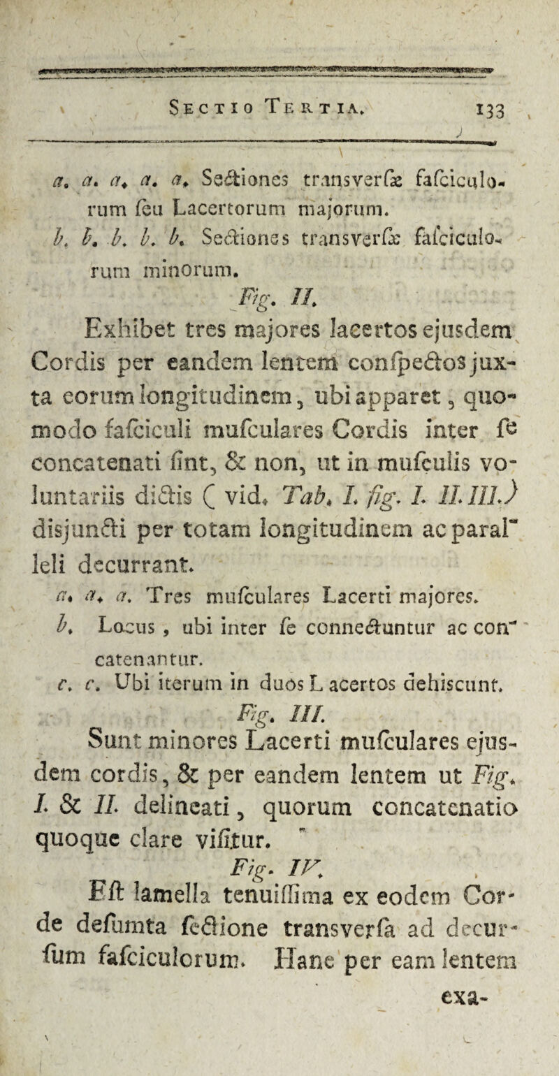 _1_ ; ~ ' ~\ . - m • a. a, a* a. a> Ss&iones traqsyerf* fafciciUo- rum feu Lacertorum majorum. b, b. b. b. b. Seniones transvarfie faiciculo* rum minorum. Frg. II Exhibet tres majores lacertos ejusdem Cordis per eandem lentem conipedos jux¬ ta eorum longitudinem, ubi apparet 5 quo¬ modo fafciculi mufculares Cordis inter f£ concatenati fint, & non, ut in mufeulis vo¬ luntariis didis Q vid4 Tabk L fig. L ILllh) disjundi per totam longitudinem acparaC leli decurrant* ct% a+ a. Tres mufculares Lacerti majores* b, Lacus , ubi inter fe conne&untur ac con catenantur. r. c. Ubi iterum in duos L acertos dehiscunt. Ftg. III Sunt minores Lacerti mufculares ejus¬ dem cordis, & per eandem lentem ut Fig. L & //* delincati, quorum concatenatio quoque clare vifltur. Eft lamella tenuiffima ex eodem Cor¬ de defumta (edione transverfa ad decur- fum fafciculcrum* Plane per eam lentem exa- \