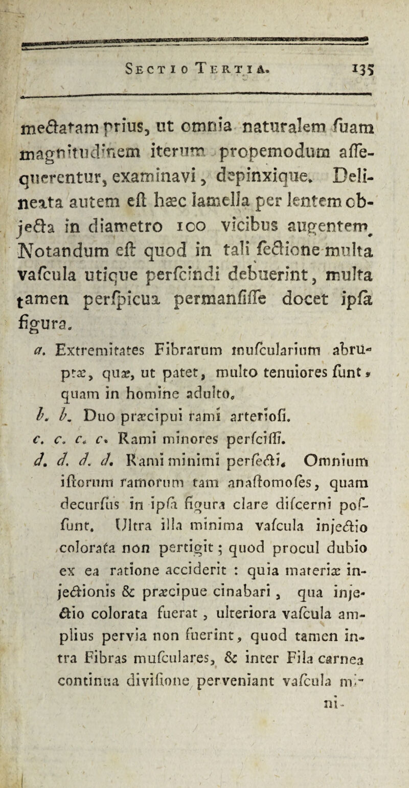 me&afam prius, ut omnia naturalem fuam uiagnJtud?nem iterum propemodum afTe- querentur, examinavi, depinxique. Deli- neata autem eft haec lamella per lentem cb- je&a in diametro 100 vicibus atigentem# Notandum eft quod in tali feflione multa vafcula utique perfcindi debuerint, multa tamen perfpicua permanfifle docet ipfa figura» a. Extremitates Fibrarum mufcularium abru* prae, qua?, ut patet, multo tenuiores funt» quam in homine adulto* h. bm Duo praecipui rami arteriofi. c. c. c« r. Rami minores perfeifit. d. d. dd. Rami minimi perfeci* Omnium iftornm ramorum tam anaffomofes, quam decurfiis in ipft figura clare difeerni pof- funt, Ultra illa minima vafcula injeCtio colorata non pertigit; quod procul dubio ex ea ratione acciderit : quia materiae in- je&ionis & praecipue cinabari , qua inje¬ ctio colorata fuerat , ulteriora vafcula am¬ plius pervia non fuerint, quod tamen in¬ tra Fibras mufculares, & inter Fila carnea 1 continua divifione perveniant vafcula mi¬ ni-
