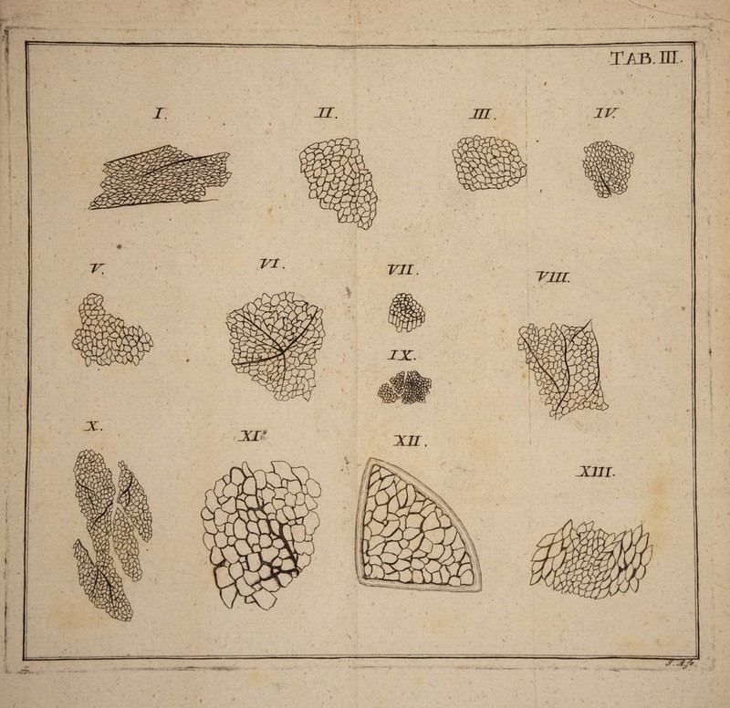 / ^-Vy [ I / 'i / . r*/ j»/ A- * y~y/r /