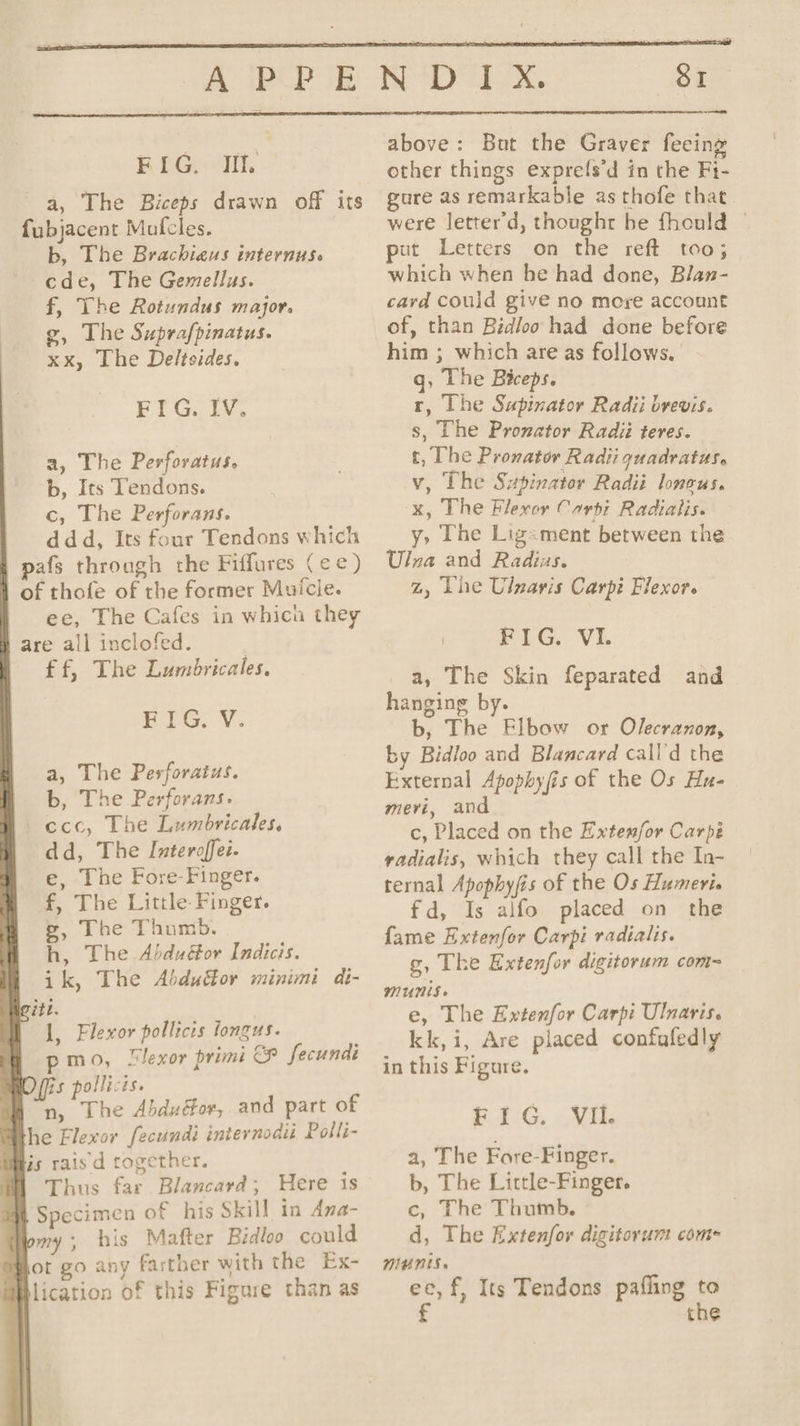 fs Ge age &amp; FIG. It. a, The Biceps drawn off its fubjacent Mufcles. b, The Brachieus internus. cde, The Gemellus. f, The Rotundus major. g, The Suprafpinatus. xx, The Deltoides. ¥TG. TY, a, The Perforatus. b, Its Tendons. c, The Perforans. ddd, Its four Tendons which pafs through the Fiffures (ee) of thofe of the former Muicie. ee, The Cafes in whicn they are all inclofed. ff, The Lumbricales. PLG, ¥. a, The Pevforatus. b, The Perforans. ccc, The Lumbricales, dd, The Interoffe. e, The Fore-Finger. f, The Little Finger. g, The Thom. h, The AbduGor Indicis. ik, The Abdudor minimi di- itl. 1, Flexor pollicis longus. pmo, Tlexor primi FP fecundi Gs pollicis. n, The Abduéfor, and part of he Flexor fecundi internodii Polli- is rais d together. Thus far. Blancard; Here is Specimen of his Skill in Ana- my; his Mafter Bidloo could ot go any farther with the Ex- lication of this Figure than as SI = above: But the Graver feeing other things exprefs’d in the Fi- gure as remarkable as thofe that were letter'd, thoughr be fhould © put Letters on the reft too; which when he had done, Blan- card could give no more account of, than Bidloo had done before him ; which are as follows. q, The Biceps. r, The Sapinator Radii brevis. s, Lhe Pronator Radii teres. t, The Pronator Radii guadratus. v, The Supinator Radii loneus. x, The Flexor Carti Radialis. y, The Ligsment between the Ulna and Radius. z, Lhe Ulnaris Carpi Flexor. FIG. VI. a, The Skin feparated and hanging by. b, The Elbow or Olecranon, by Bidloo and Blancard call'd the External Apophyfis of the Os Hu- meri, and c, Placed on the Exten/for Carpé vadialis, which they call the In- ternal Apophyfis of the Os Humeri. fd, Is alfo placed on the fame Extenfor Carpi radialis. g, The Extenfor digitorum com~ munis. e, Lhe Extenfor Carpi Ulnaris. kk, i, Are placed confafedly in this Figure. fe 2:G. , Vis a, The Fore-Finger. b, The Little-Finger. c, The Thumb. d, The Extenfor digitorum com MNES » ec, f, Its Tendons pafling to the