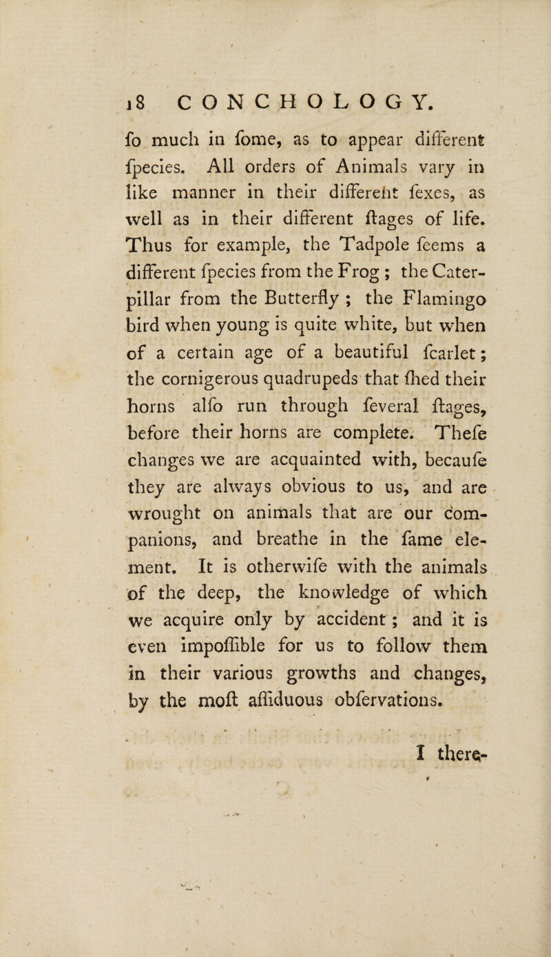 fo much in fome, as to appear different fpecies. All orders of Animals vary in like manner in their different fexes, as well as in their different flages of life. Thus for example, the Tadpole feems a different fpecies from the Frog ; the Cater¬ pillar from the Butterfly ; the Flamingo bird when young is quite white, but when of a certain age of a beautiful fcarlet; the cornigerous quadrupeds that fhed their horns alfo run through feveral ftages, before their horns are complete. Thefe changes we are acquainted with, becaufe they are always obvious to us, and are wrought on animals that are our com¬ panions, and breathe in the fame ele¬ ment. It is otherwife with the animals of the deep, the knowledge of which we acquire only by accident ; and it is even impoffible for us to follow them in their various growths and changes, by the moft affiduous obfervations. «*. ■ _ , 1, I there;- \ \