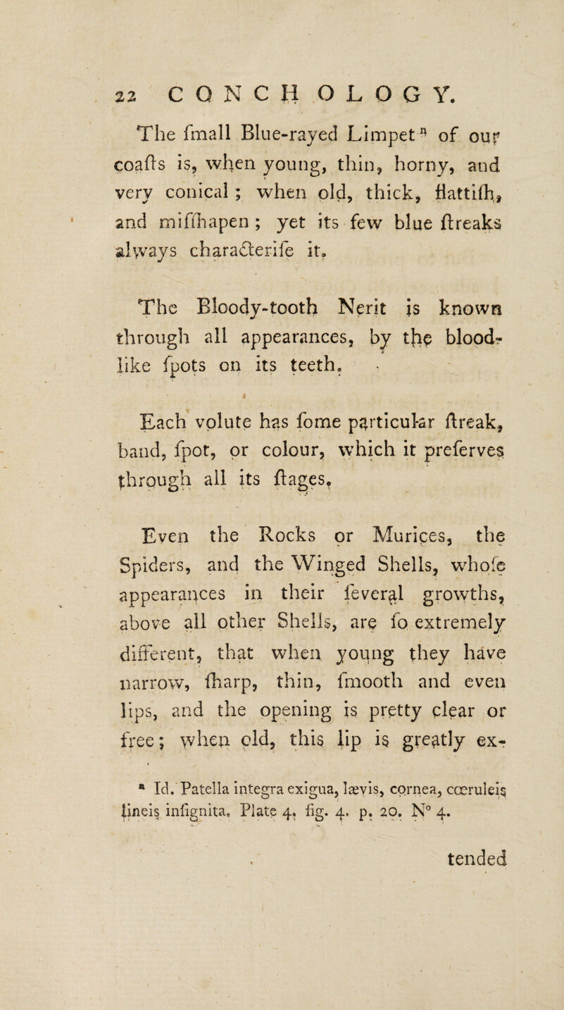 The fmall Blue-rayed Limpet* of our coafls is, when young, thin, horny, and very conical ; when old, thick, fiattilh, and mifflhapen ; yet its few blue ftreaks always chara&erife it. The Bloody-tooth Nerit is known through all appearances, by tbe blood- like loots on its teeth. Each volute has fome particular ftreak, band, fpot, or colour, which it prefervesi through all its ftages^ Even the Rocks or Muriqes, the Spiders, and the Winged Shells, whole appearances in their fever§l growths, above all other Shells, are fo extremely different, that when young they have narrow, fharp, thin, fmooth and even lips, and the opening is pretty clear or free; when old, this lip is greatly ex- * Id. Patella integra exigua, Igevis, cornea, cceruleiq {ineis infignita, Plate 4. fig. 4. p. 20, N° 4. tended