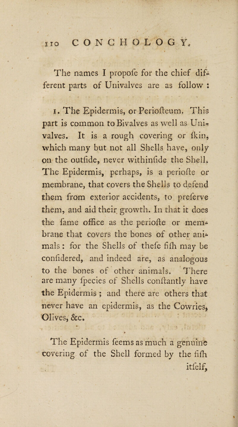 /V t \ ■* -■» The names I propofe for the chief dif¬ ferent parts of Univalves are as follow : *■ ♦*.**• « • ■ ■*' * i. The Epidermis, or Periofteum. This part is common to Bivalves as well as UnU valves. It is a rough covering or fkin^ which many but not all Shells have, only on the outfide, never withinfide the Shell* The Epidermis, perhaps, is a periofte or membrane, that covers the Shells to defend them from exterior accidents, to preferve them, and aid their growth. In that it does the fame office as the periofte or mem¬ brane that covers the bones of other ani¬ mals : for the Shells of thefe fifh may be confidered, and indeed are, as analogous to the bones of other animals. There are many Ipecies of Shells conftantly have the Epidermis; and there are others that never have an epidermis, as the Cowries, Ol Ives, &c* ' ', • - ■ •» • ' * * * ft » The Epidermis feems as much a genuine covering of the Shell formed by the fifh itfelf. i