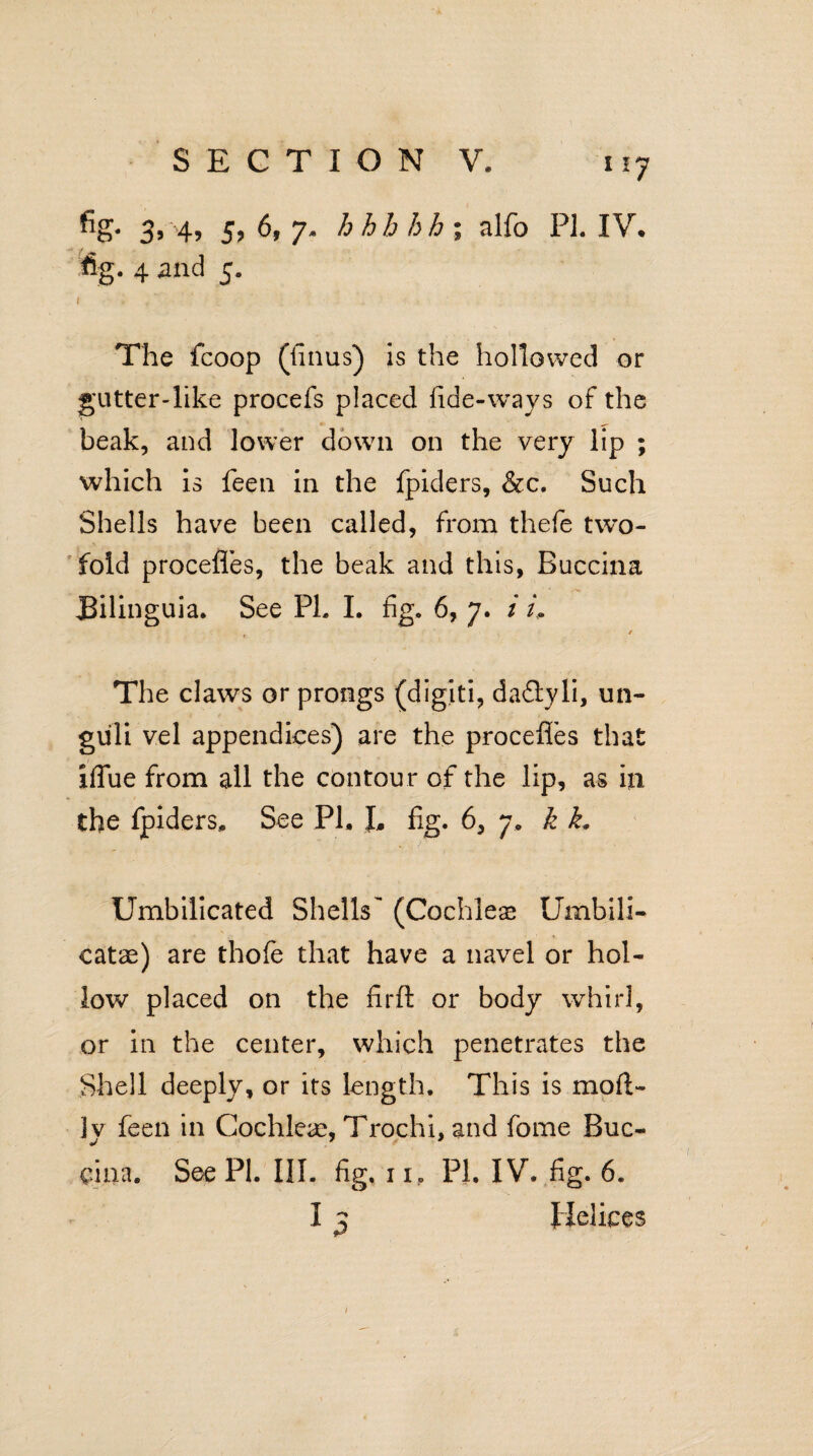 i ij fig* 3, 4, 5, 6, 7- hhhbh; alfo PI. IV* fig. 4 and 5. 1 * The fcoop (finus) is the hollowed or gutter-like procefs placed fide-ways of the beak, and lower down on the very lip ; which is feen in the fpiders, &c. Such Shells have been called, from thefe two¬ fold procefles, the beak and this, Buccina JBilinguia. See Ph I. fig. 6, 7. i h / The claws or prongs (digiti, dadyli, un- guli vel appendices) are the procefles that iflue from all the contour of the lip, as in the fpiders. See Ph I, fig. 6, 7, k L Umbilicated Shells' (Cochleae Umbili- catae) are thofe that have a navel or hol¬ low placed on the fir ft or body whirl, or in the center, which penetrates the Shell deeply, or its length. This is mod- ]y feen in Cochleae, Trochi, and fome Buc- eina. See PI. III. fig. 11, Ph IV. fig. 6. I j Helices