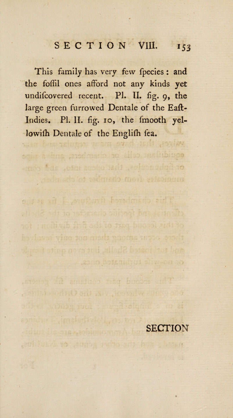 This family has very few fpecies : and the foffil ones afford not any kinds yet imdifcovered recent. PI. II. fig. 9, the large green furrowed Dentale of the Eaft- Indies. PL II. fig. 10, the fmooth yel- lowifh Dentale of the Englifh fea. SECTION