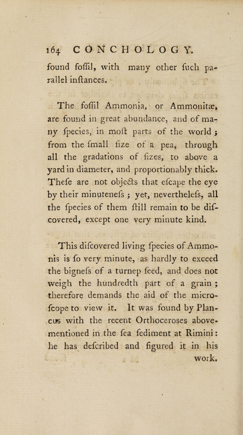 \ \ 164 CONCHOLOGY. found foffil, with many other fuch pa¬ rallel inftances. The foffil Ammonia, or Ammonite, are found in great abundance, and of ma¬ ny fpecies, in mod parts of the world ; from the fmall iize of a pea, through all the gradations of fizes, to above a yard in diameter, and proportionably thick. Thefe are not objects that efcape the eye by their minutenefs ; yet, neverthelefs, all the fpecies of them ftill remain to be dis¬ covered, except one very minute kind. This difcovered living fpecies of Am mo¬ ms is fo very minute, as hardly to exceed the bignefs of a turnep feed, and does not weigh the hundredth part of a grain ; therefore demands the aid of the micro- fcope to view it. It was found by Plan- ell's with the recent Orthoceroses above- mentioned in the fea fediment at Rimini: he has deferibed and figured it in his work. 1