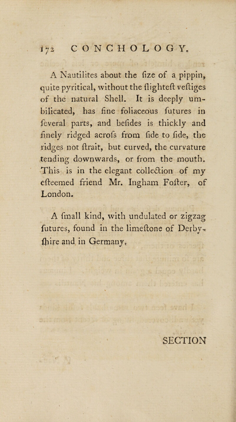 A Nautilites about the fize of a pippin, quite pyritical, without the flighted vefiiges of the natural Shell. It is deeply urn- bilicated, has fine foliaceous futures in feveral parts, and befldes is thickly and finely ridged acrofs from fide to fide, the ridges not ftrait, but curved, the curvature tending downwards, or from the mouth. This is in the elegant colledlion of my efteemed friend Mr. Ingham Fofter, of London. A fmall kind, with undulated or zigzag futures, found in the limeftone of Derby-* ire and in Germany,