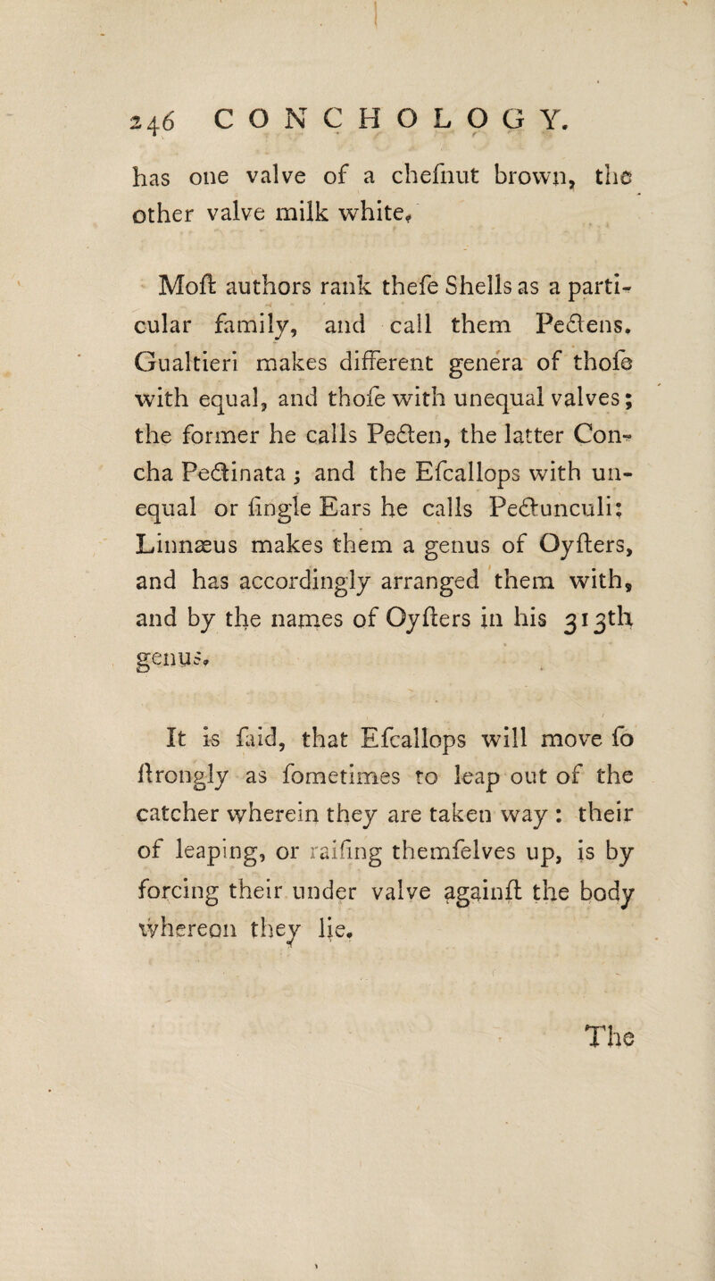 has one valve of a chefnut brown, the other valve milk white/ Moffc authors rank thefe Shells as a parth cular family, and call them Pedlens. Gualtieri makes different genera of thofe with equal, and thofe with unequal valves; the former he calls Peden, the latter Com cha Pedinata ; and the Efcallops with un¬ equal or fingle Ears he calls Pedunculi; Linnaeus makes them a genus of Oyfters, and has accordingly arranged them with, and by the names of Oyflers in his 313th genus. It is laid, that Efcallops will move fo flrongly as fometimes to leap out of the catcher wherein they are taken way : their of leaping, or railing themfelves up, is by forcing their under valve againfl the body whereon they He,