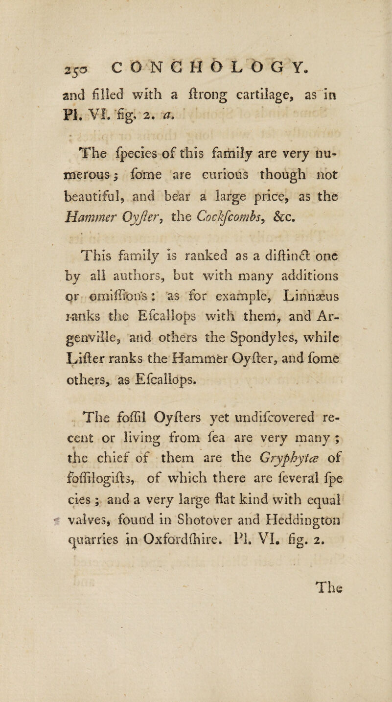 2So CONCHOLOGY. and filled with a ftrong cartilage, as In PL VI. fig. 2. a. The fpecies of this family are very nu¬ merous | feme are curious though not beautiful, and bear a large price, as the Hammer Oyjier, the Cockfcotnbs, &c. This family Is ranked as a diftinft one by all authors, but with many additions or omiffions: as for example, Linnaeus ranks the Efcallops with them* and Ar- genville, and others the Spondyles, while Lifter ranks the Hammer Qyfter, and fome others, as Efcallops. The foffil Oyfters yet undifeovered re¬ cent or living from fea are very many ; the chief of them are the Gryphyice of foffilogifts, of which there are feveral fpe eies ; and a very large flat kind with equal valves, found in Shotover and Heddington quarries in Oxfordshire. PL VI. fig. 2.