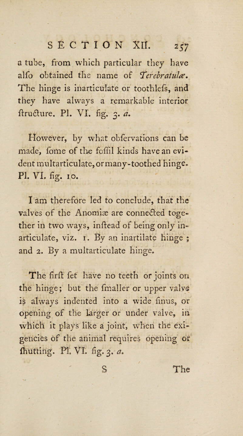 a tube, from which particular they have alfo obtained the name of Terebratulte. The hinge is inarticulate or toothlefs, and they have always a remarkable interior ftructure, PI. VI. fig. 3. a. However, by what obfervations can be made, fome of the foffil kinds have an evi¬ dent multarticulate, or many-toothed hinge. PI. VI. fig. 10. I am therefore led to conclude, that the valves of the Anomias are connected toge- ■ t •. • 1 ther in two ways, inftead of being only in¬ articulate, viz. 1. By an inartilate hinge ; and 2. By a multarticulate Binge. The firft fet have no teeth or joints on the hinge; but the fmaller or upper valve is always indented into a wide finus, or opening of the Larger or under valve, in which it plays like a joint, when the exi¬ gencies of the animal requires opening or z.i ' ' ' ' \ Ihutting. P1« VI. fig. 3. a. S / The