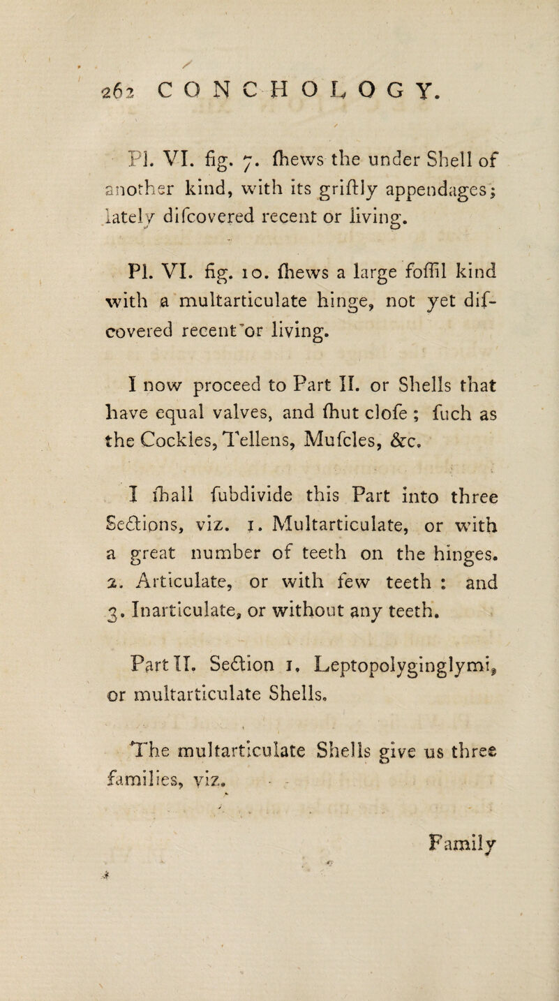 PI. VI. fig. 7. fhews the under Shell of another kind, with its griftly appendages; lately difcovered recent or living. PL VI. fig. 10. fhews a large foffil kind with a multarticulate hinge, not yet dif¬ covered recent’or living. I now proceed to Part II. or Shells that have equal valves, and fhut clofe ; fuch as the Cockles, Tellens, Mufcles, &c. I fbali fubdivide this Part into three Sections, viz. 1. Multarticulate, or with a great number of teeth on the hinges. Articulate, or with few teeth : and 3. Inarticulate, or without any teeth. Part II. Section J. Leptopolyginglymi^ or multarticulate Shells. The multarticulate Shells give us three families, viz. - - 4 Family