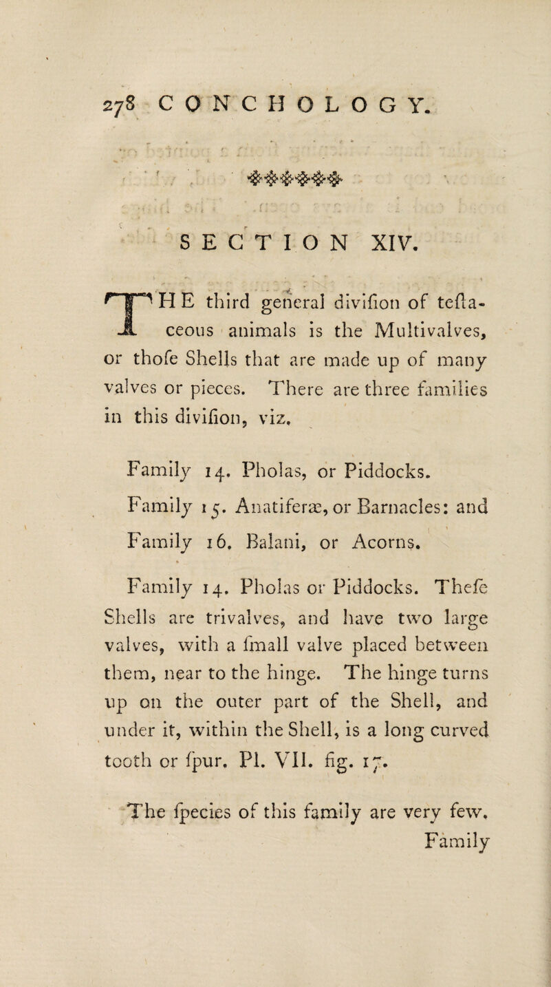 »> • ') >J ? ' *' ' 1 ’ * ' ' :; *4.'u bd<' . ’ AY ' ' 'f: ' l ' ! •/ SECTION XIV, THE third general divifion of tefla- ceous animals is the Multivalves, or thofe Shells that are made up of many valves or pieces. There are three families in this divifion, viz. Family 14, Pholas, or Piddocks. Family 15. Anatiferae, or Barnacles: and . • 1 ' Family 16. Balani, or Acorns. Family 14, Pholas or Piddocks. Thefe Shells are trivalves, and have two large valves, with a frnall valve placed between them, near to the hinge. The hinge turns up on the outer part of the Shell, and under it, within the Shell, is a long curved tooth or fpur. PI. VII. fig. i~. The fpecies of this family are very few. Family